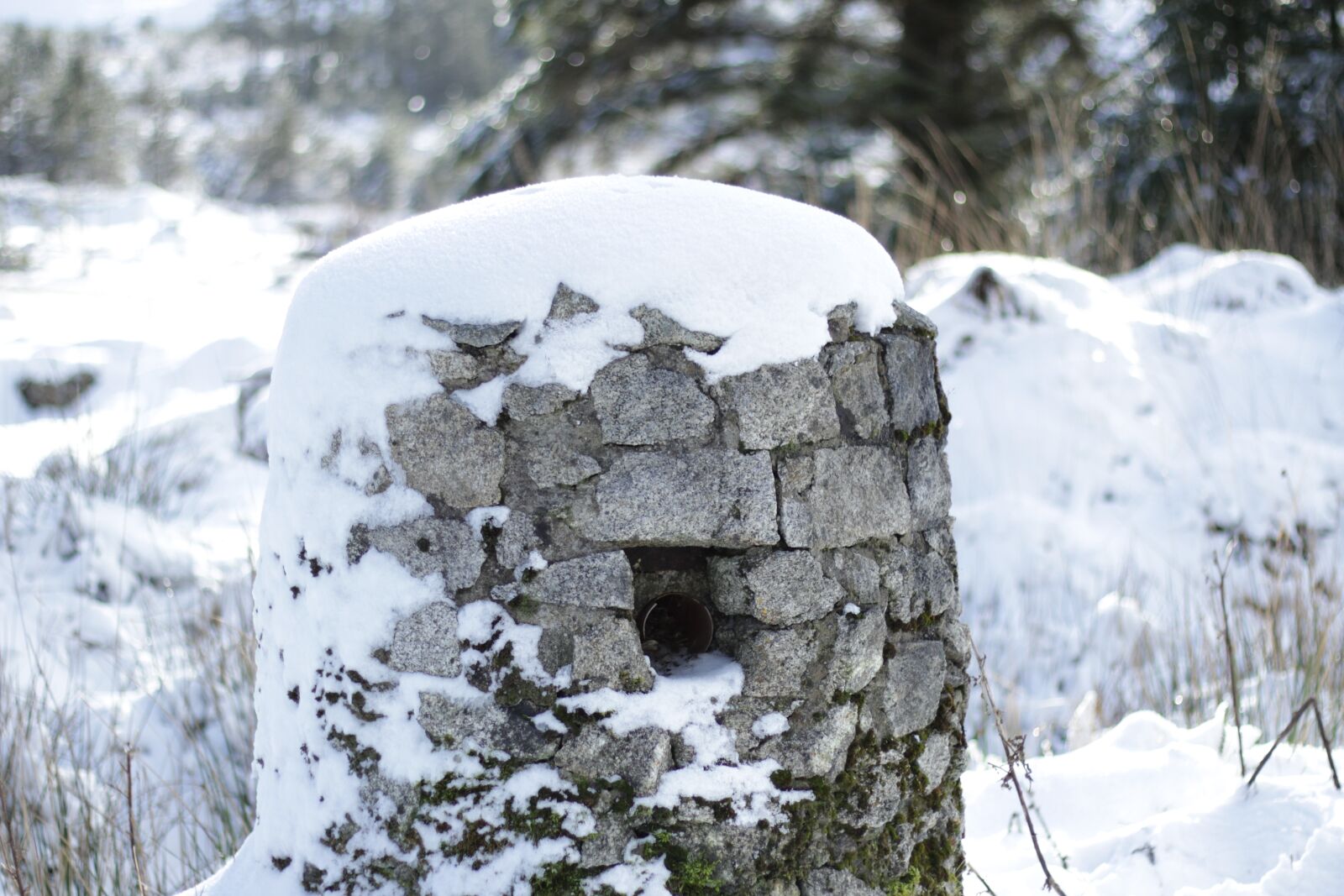 Canon EOS 600D (Rebel EOS T3i / EOS Kiss X5) + Canon EF 50mm F1.8 STM sample photo. Snow, winter, stone photography