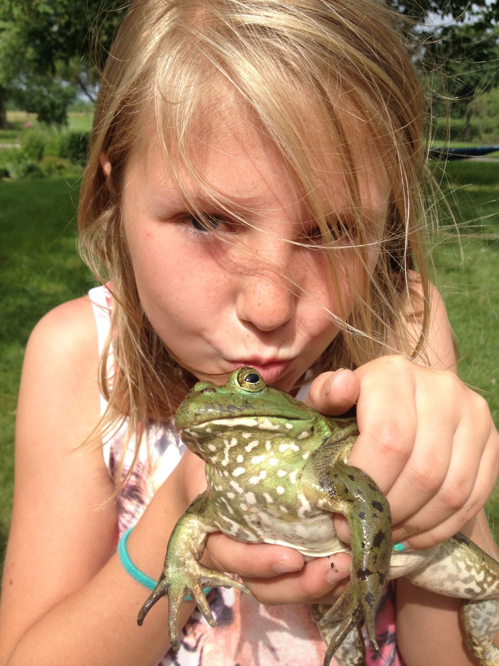 iPhone 4S back camera 4.28mm f/2.4 sample photo. Farm, frog, girl, kiss photography