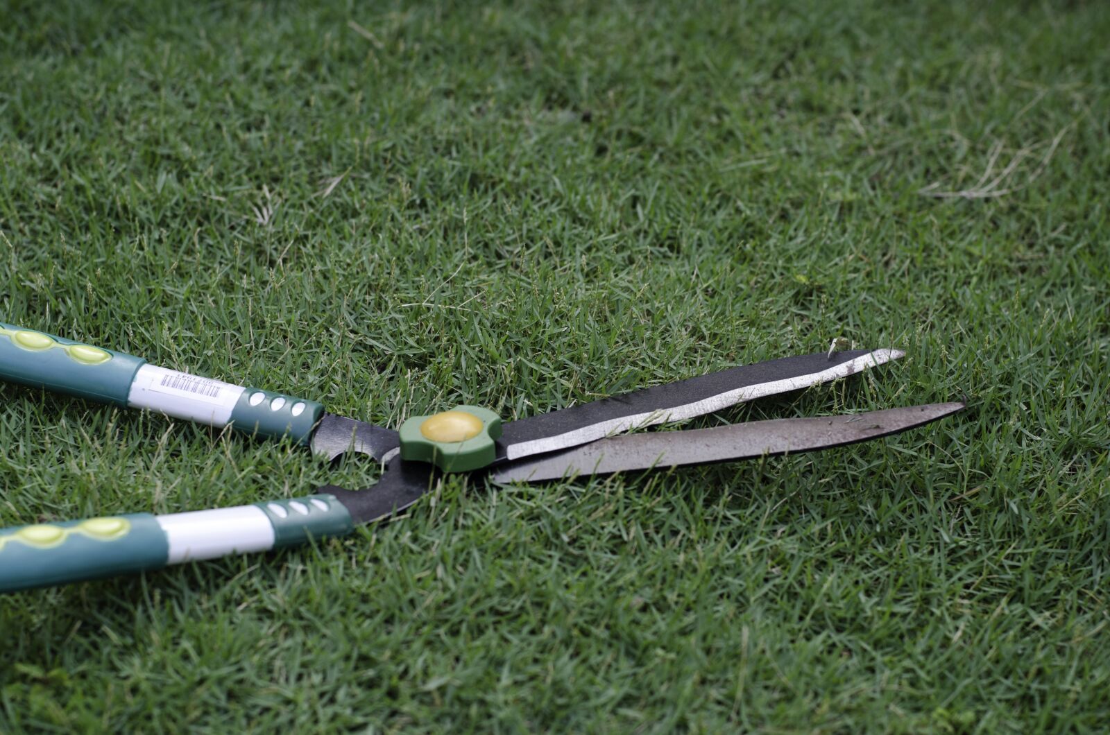 Nikon D7000 sample photo. Grass scissors in garden photography
