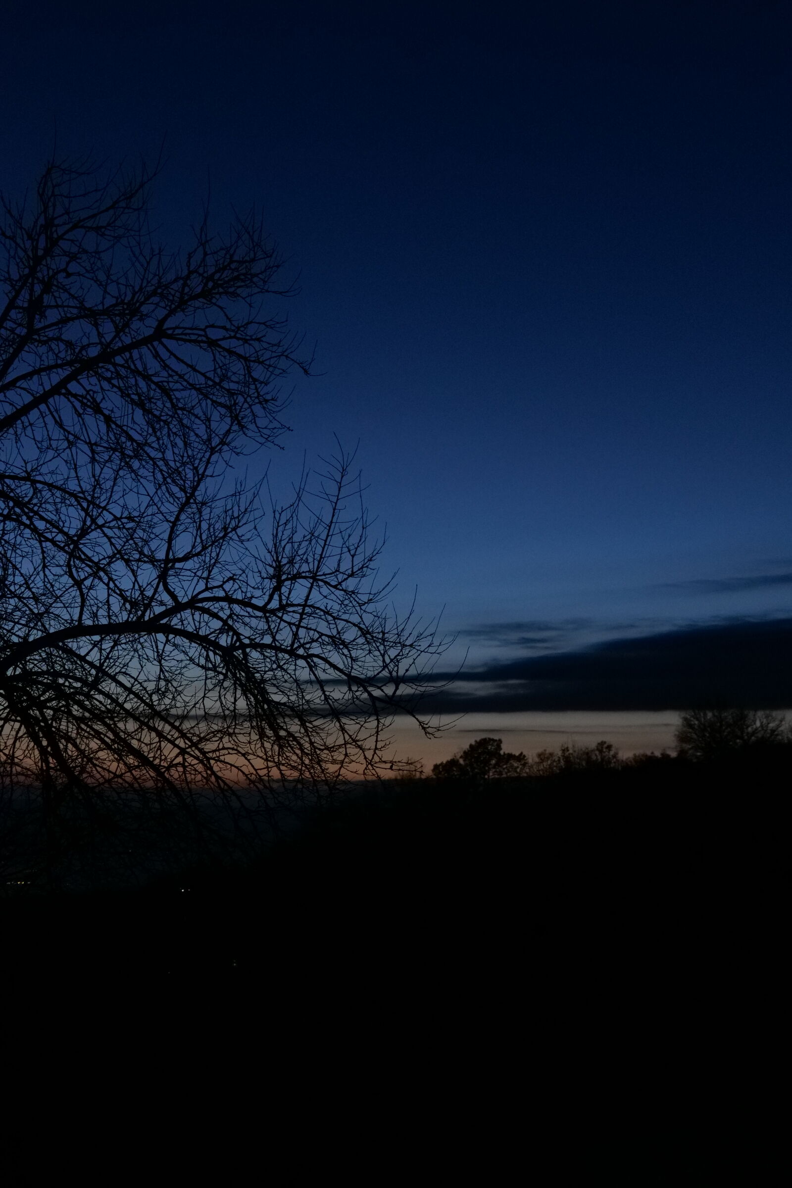 Panasonic DC-S5D sample photo