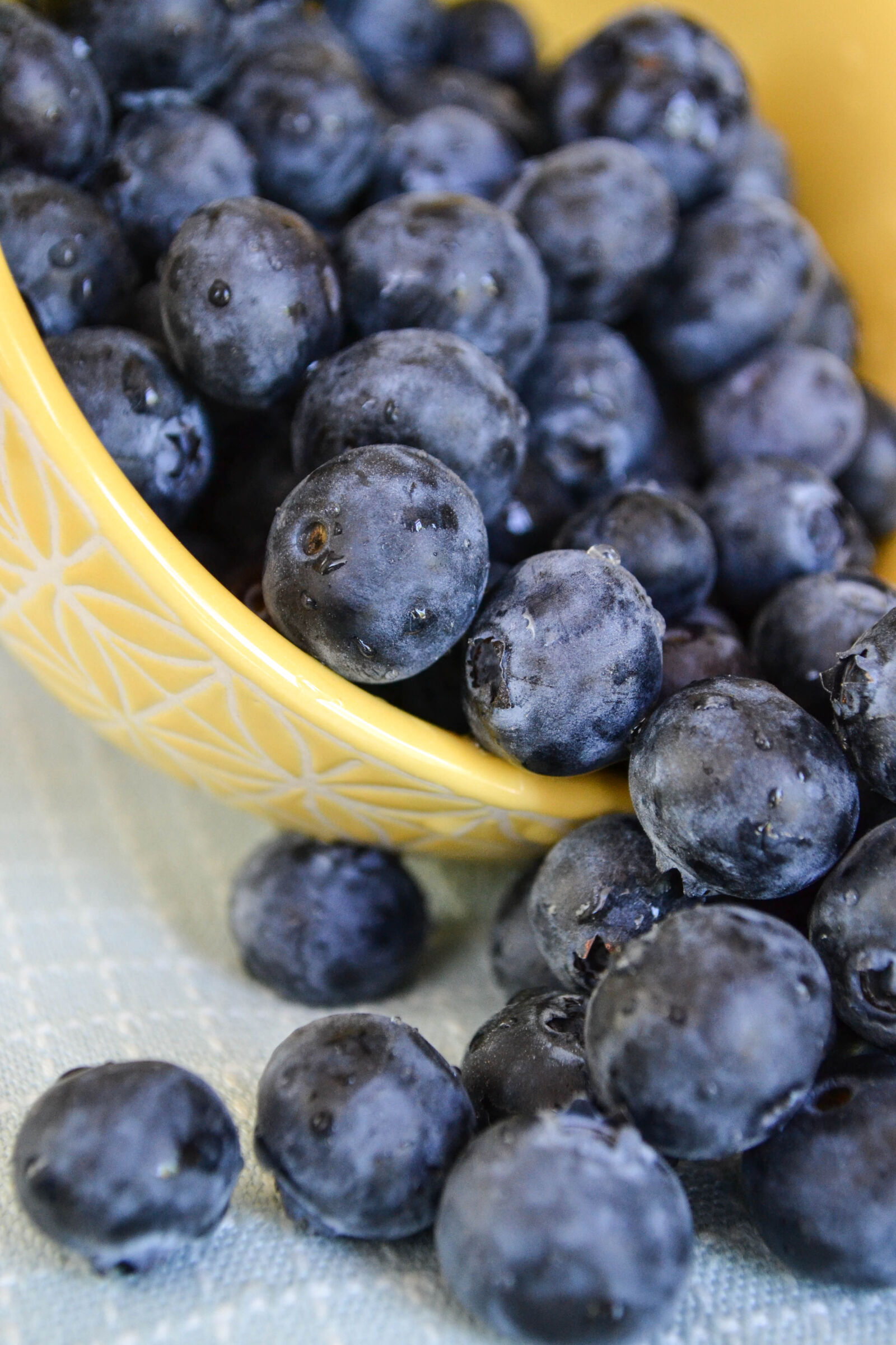 Nikon D3100 sample photo. Food, fruits, blueberries, huckleberries photography