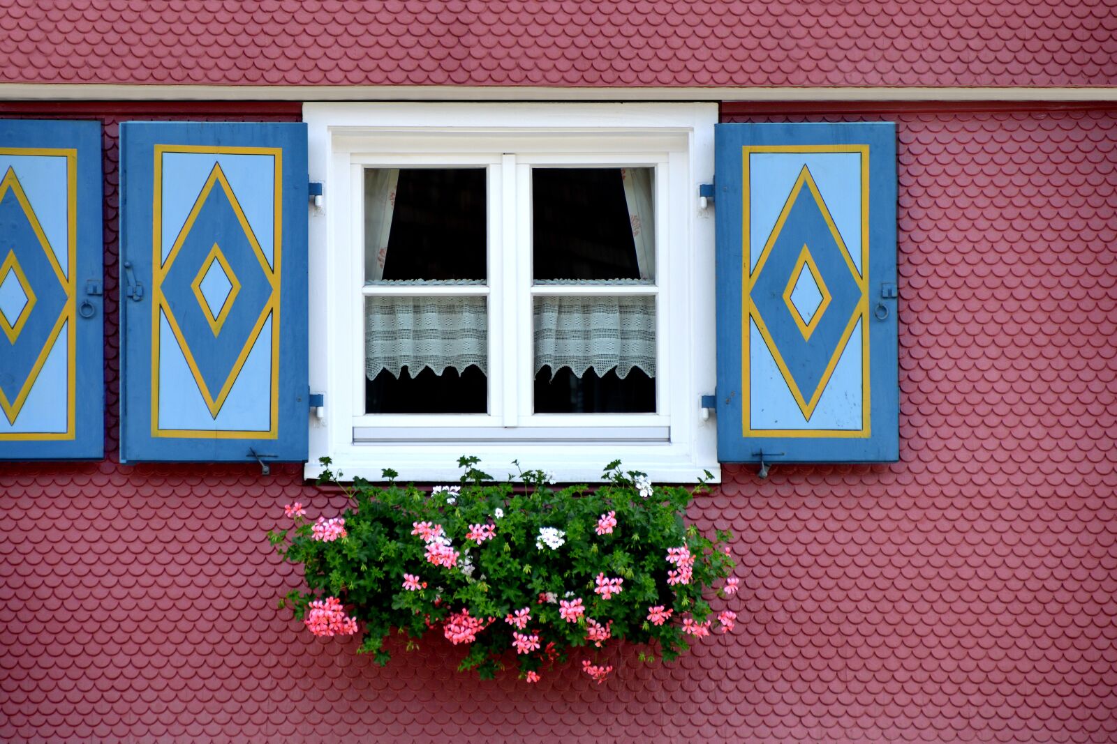 Nikon D3200 sample photo. Shutter, farmhouse, flower photography