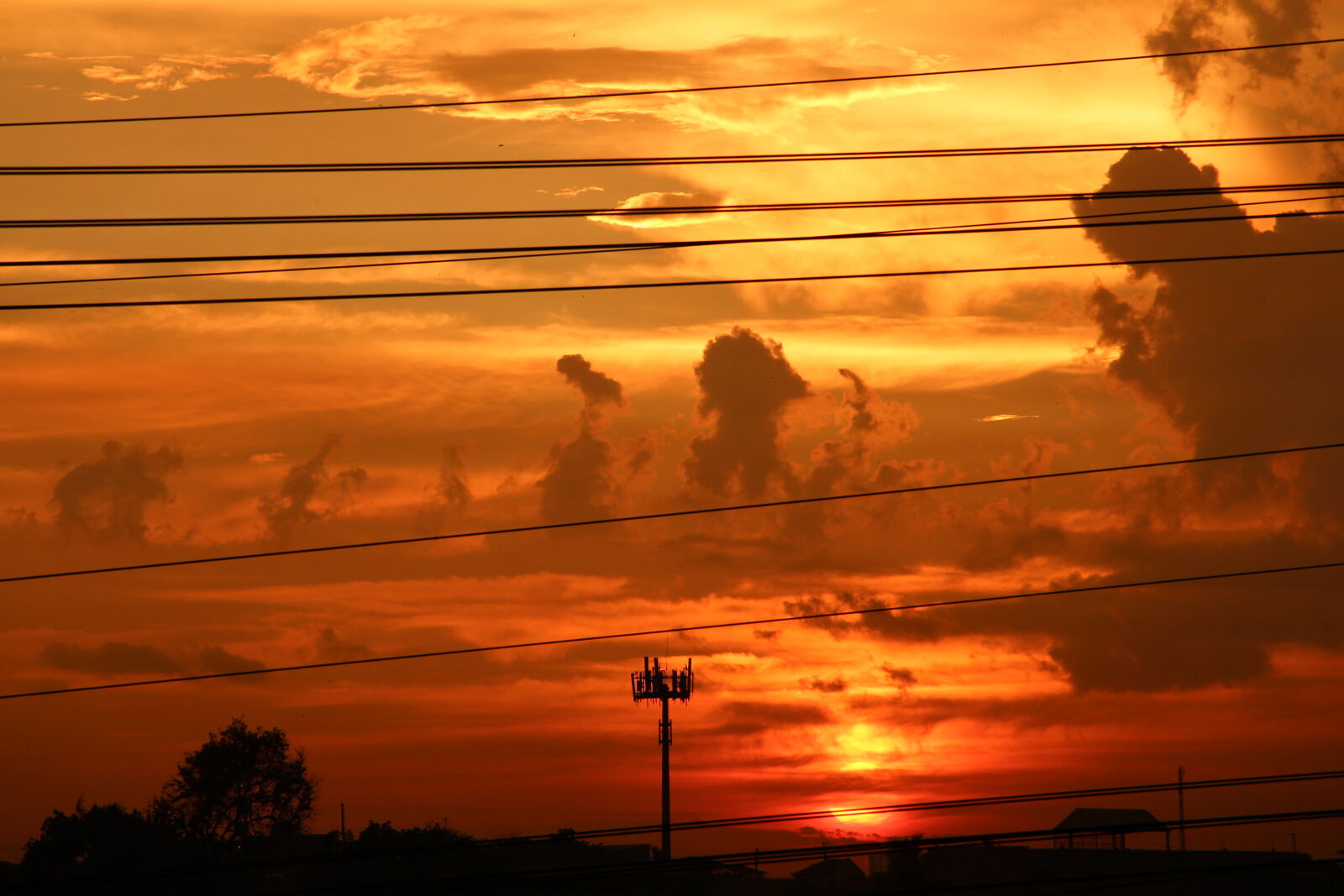 Canon EOS 700D (EOS Rebel T5i / EOS Kiss X7i) sample photo. Nature, photography photography