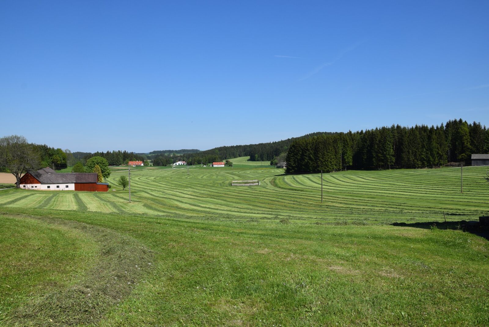 Nikon D5300 sample photo. Summer, meadow, landscape photography