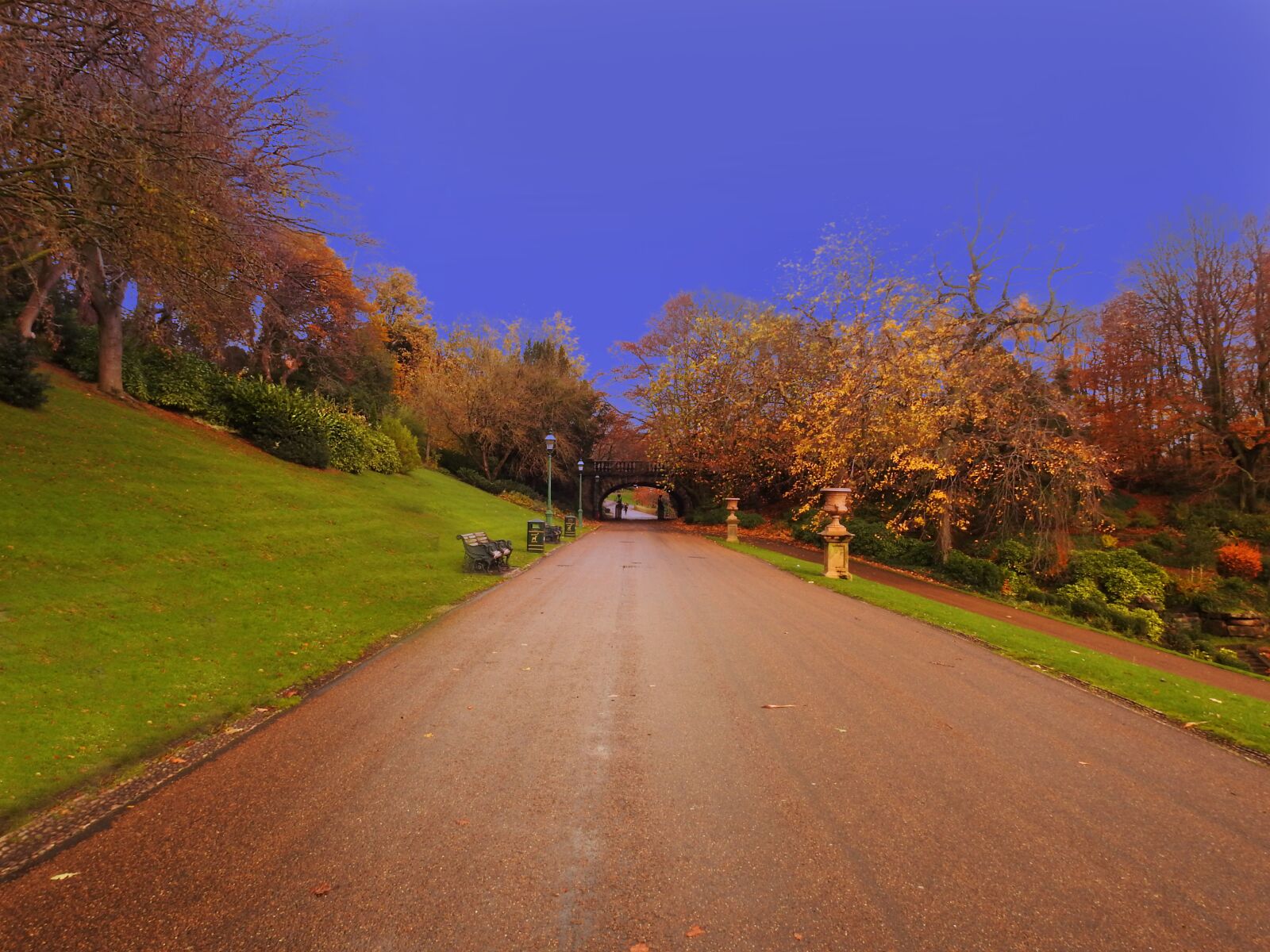 Nikon Coolpix P900 sample photo. Road, autumn, trees photography