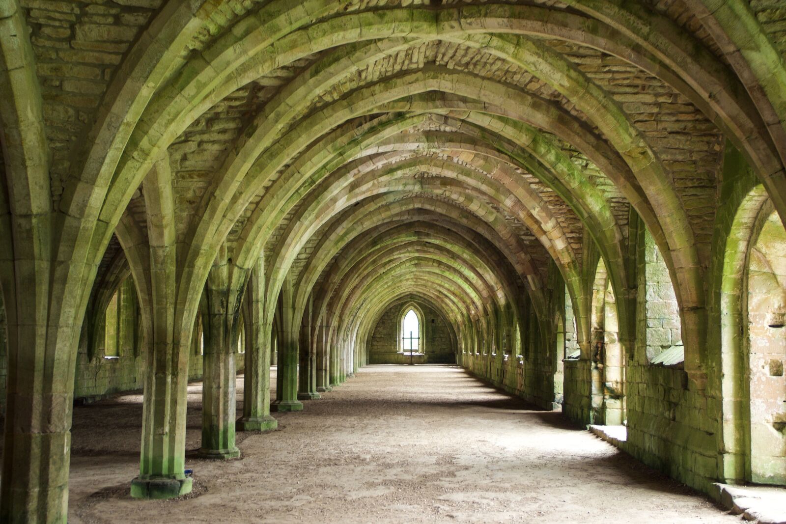 Olympus OM-D E-M10 sample photo. Fountains abbey, cistercian monastery photography