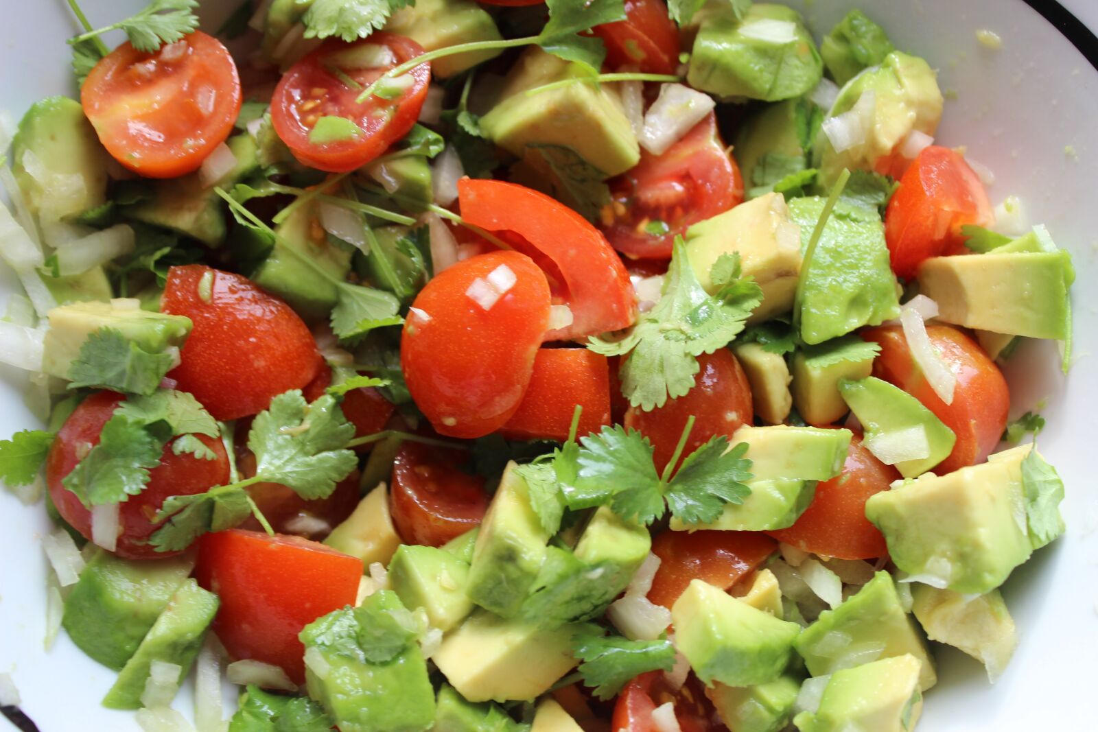 Canon EOS 600D (Rebel EOS T3i / EOS Kiss X5) sample photo. Guacamole, raw food, a photography