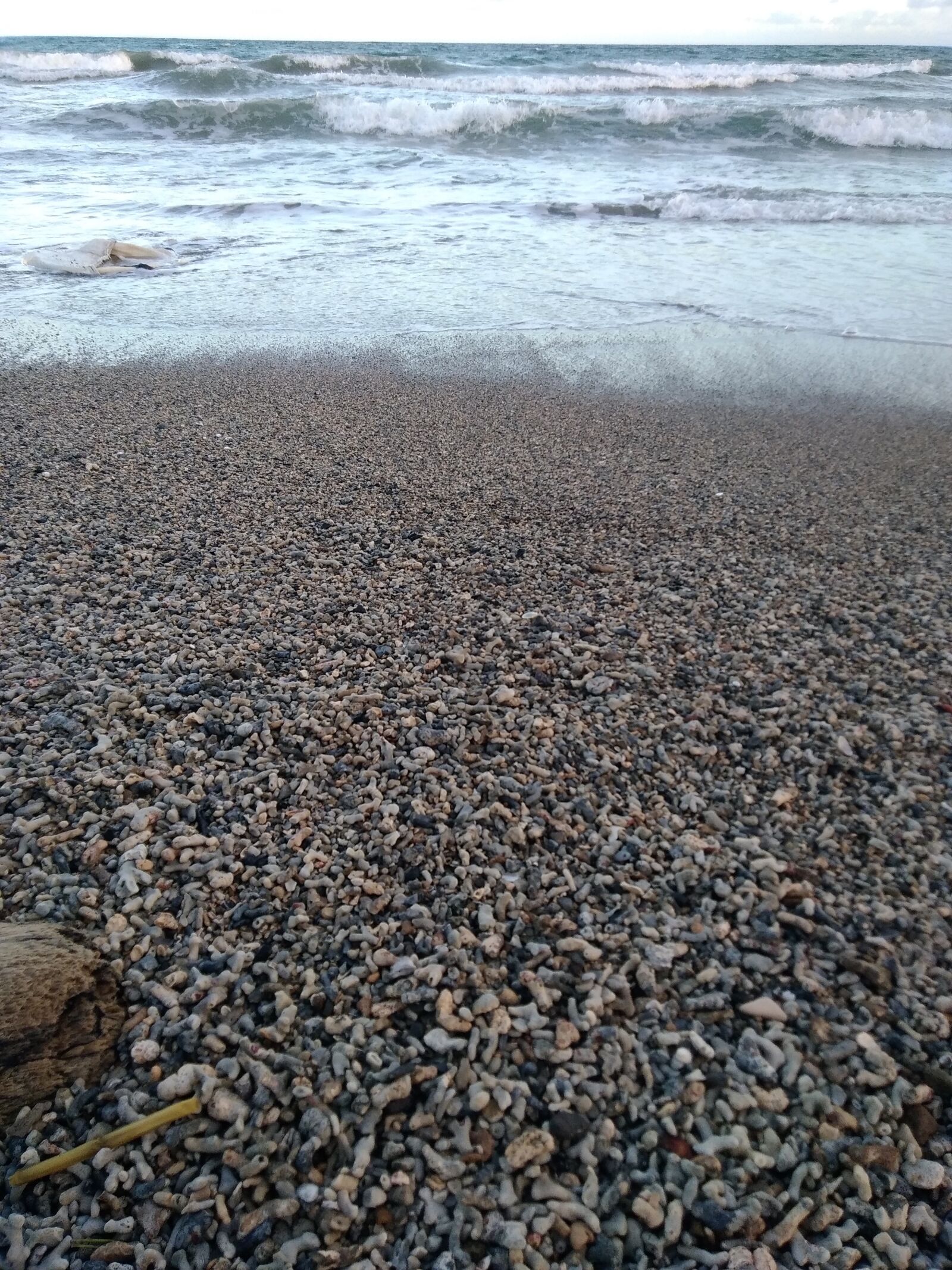 HUAWEI P9 lite smart sample photo. Coral beach, dead corals photography
