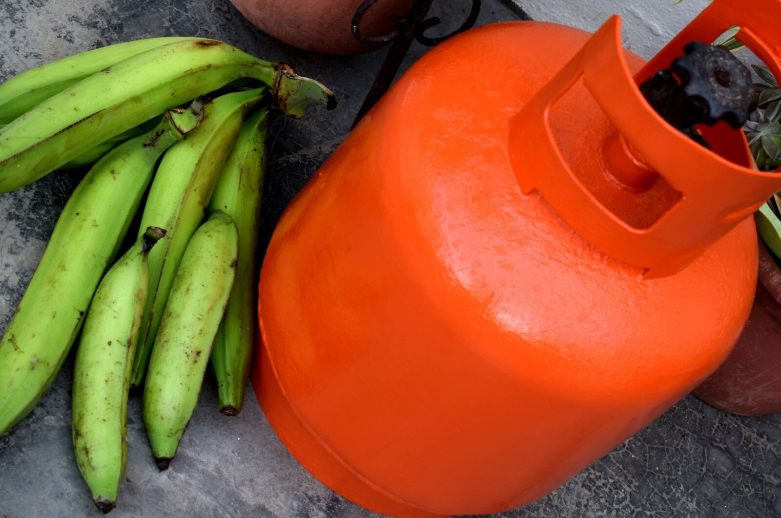 Nikon D5300 sample photo. Banana, cylinder, glp photography