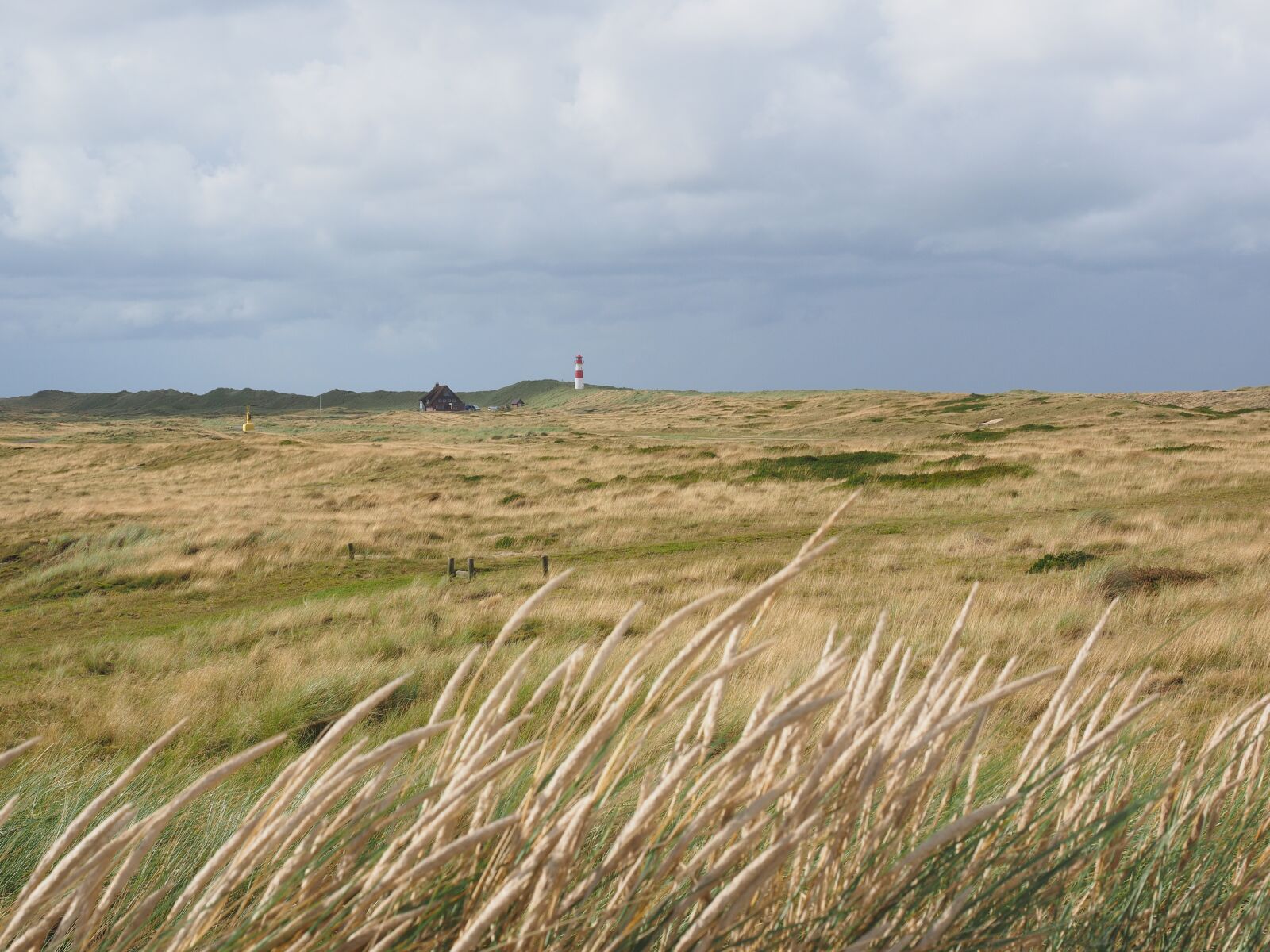 Olympus OM-D E-M1 + Olympus M.Zuiko Digital ED 12-40mm F2.8 Pro sample photo. Lighthouse, sylt, elbow photography
