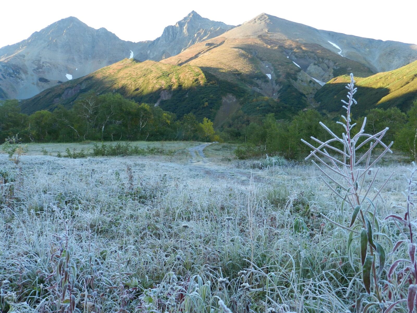 Nikon Coolpix P500 sample photo. The first frost, early photography