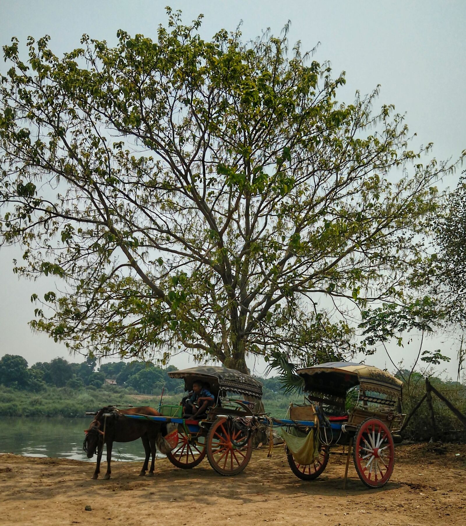 OPPO R7 Plusf sample photo. Myanmar, horse, cart photography