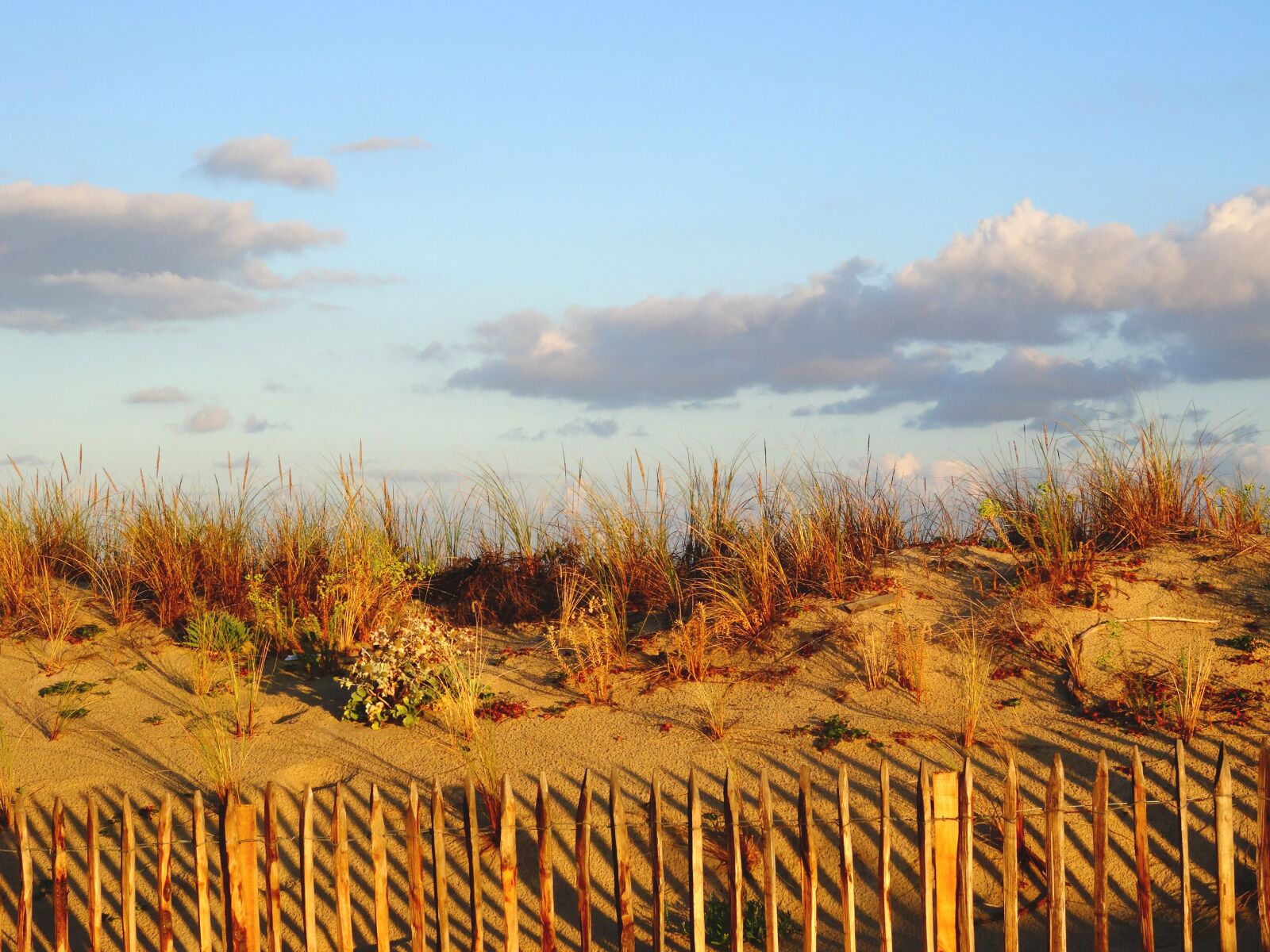 Sony Cyber-shot DSC-HX50V sample photo. Dune, beach, sand photography