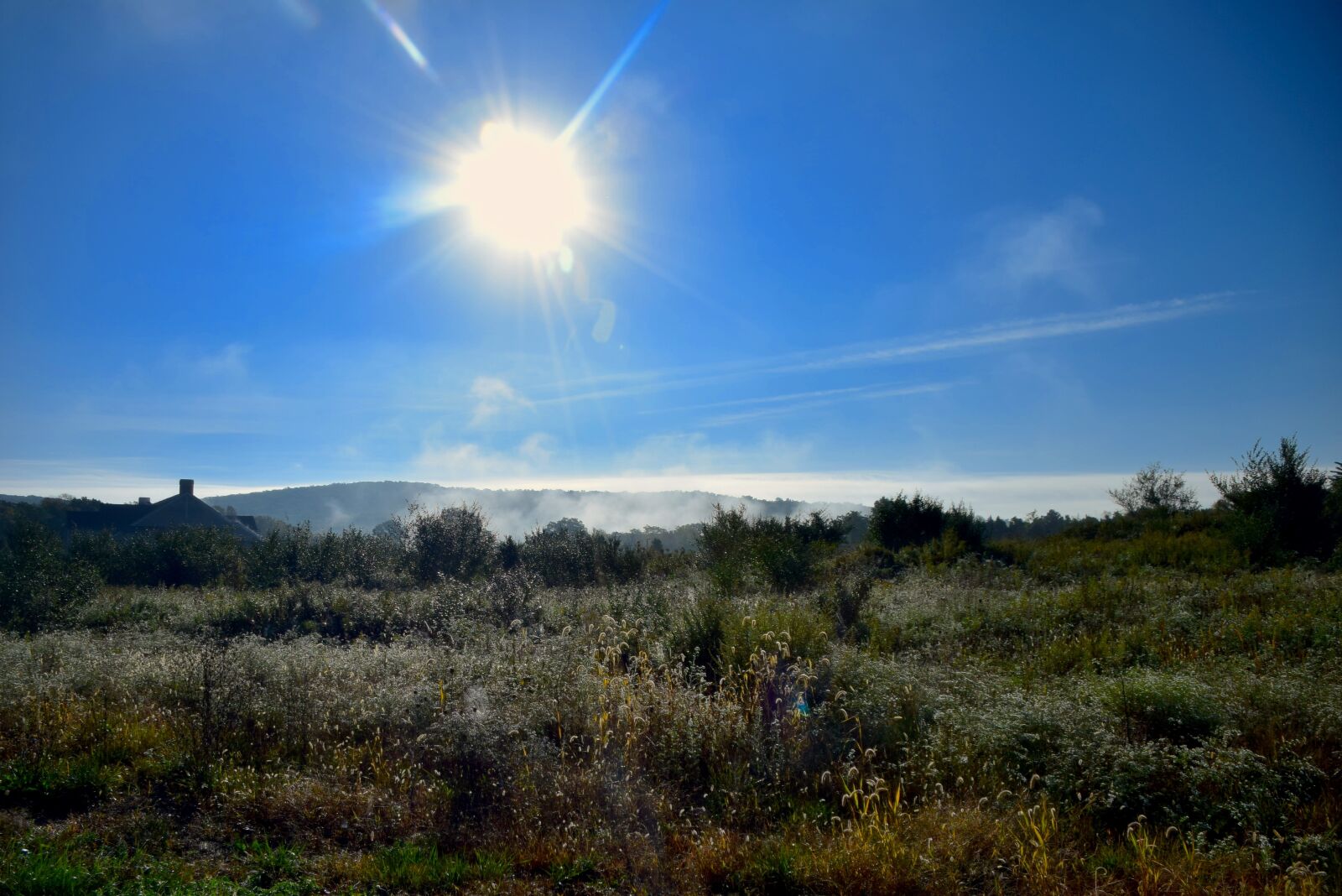 Nikon D3300 sample photo. Sun, mist, field photography
