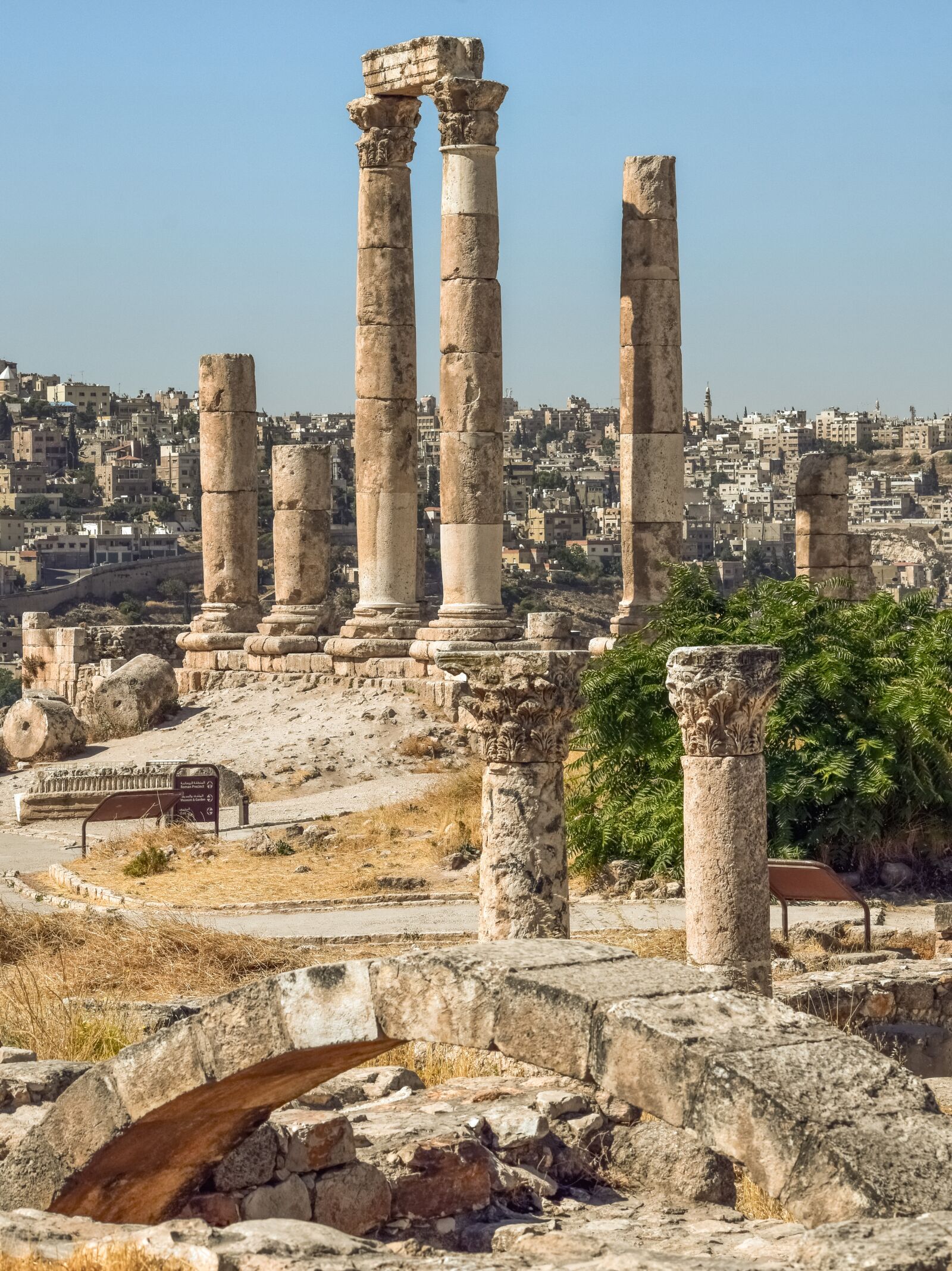 Nikon D3300 sample photo. Temple of hercules, historic photography