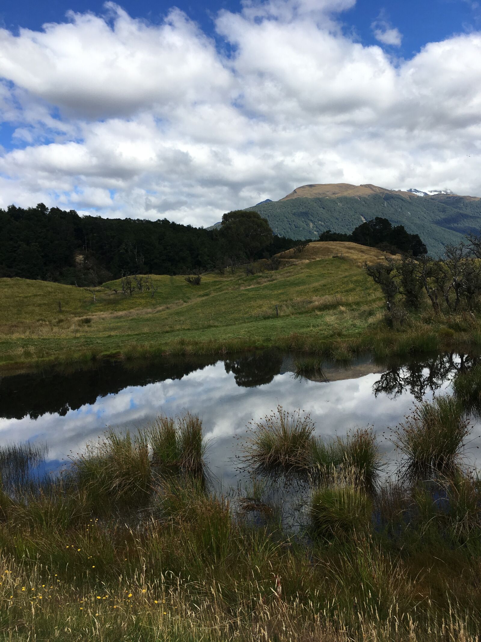 Apple iPhone 6s Plus sample photo. The scenery, new zealand photography