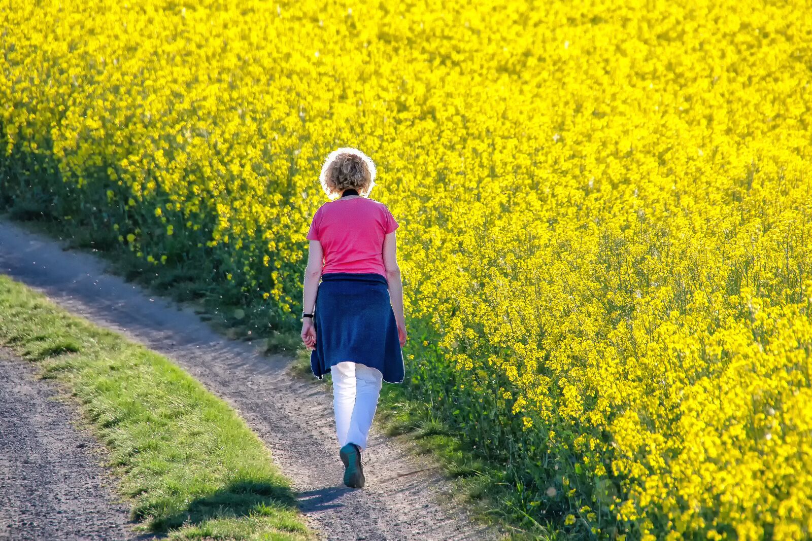 Canon EOS 60D sample photo. Nature, landscape, field of photography