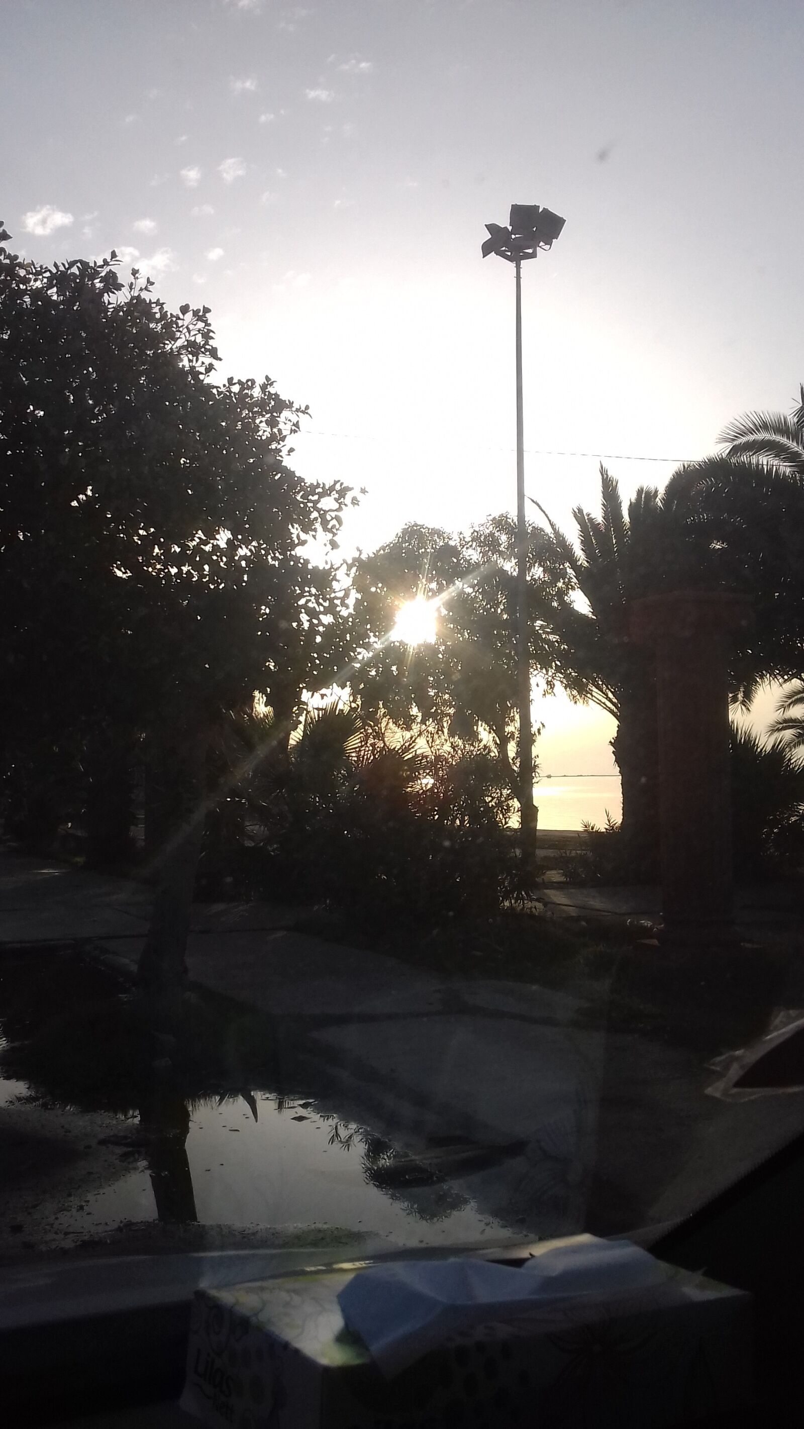 Samsung Galaxy Grand Prime sample photo. Palm 1, sfax, tunisia photography