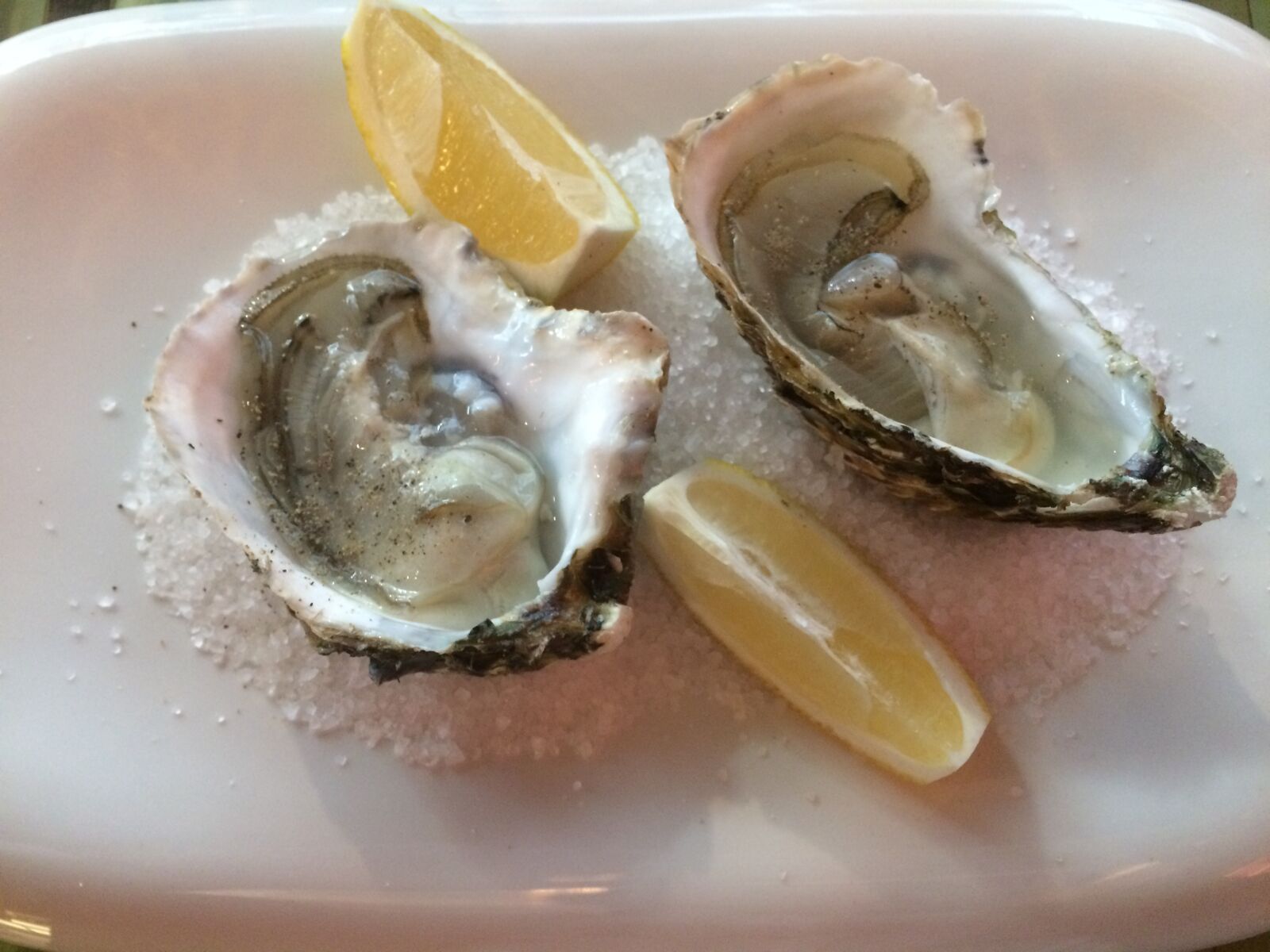iPhone 5s back camera 4.15mm f/2.2 sample photo. Oysters, dish, food photography