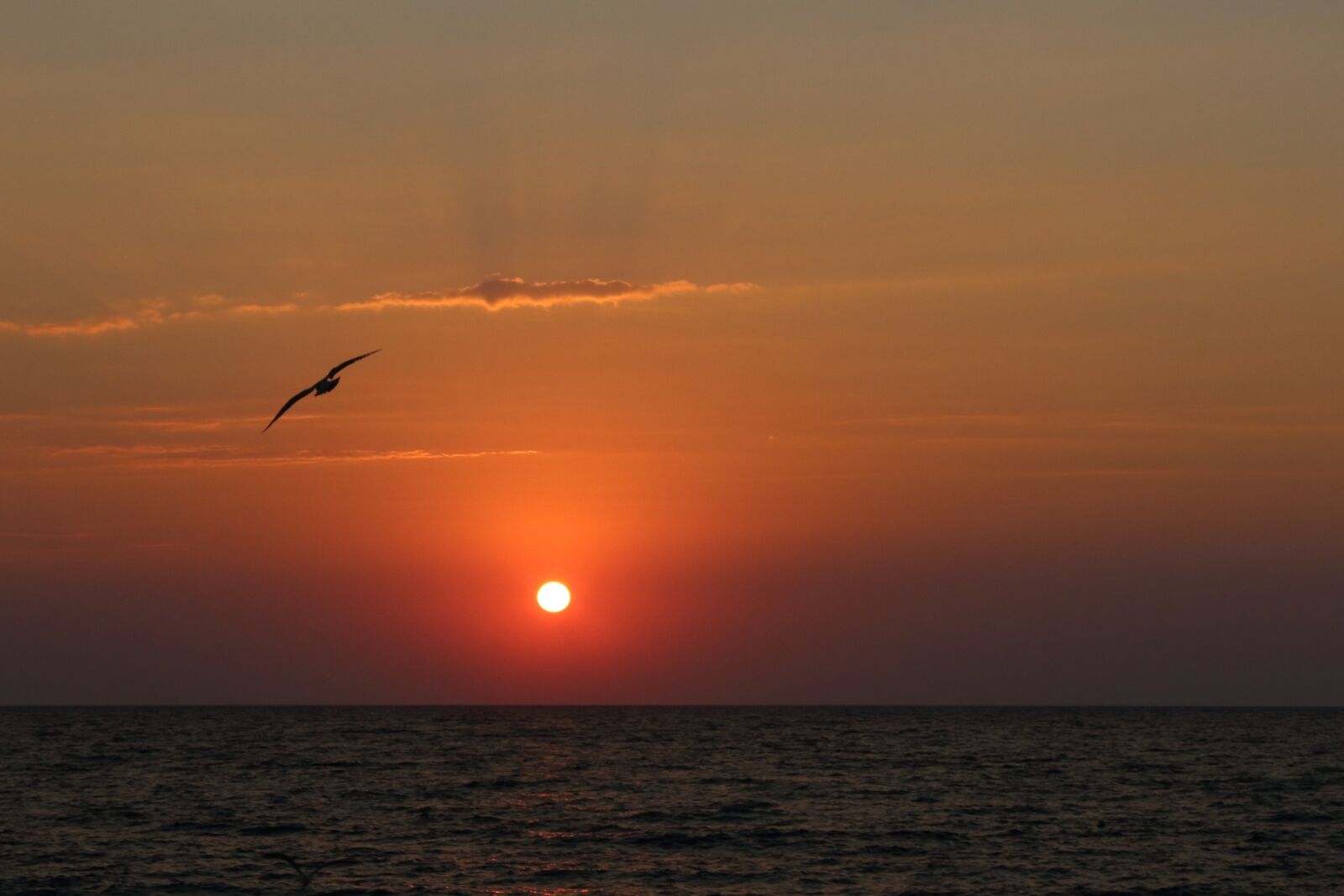Canon EOS 1200D (EOS Rebel T5 / EOS Kiss X70 / EOS Hi) sample photo. Sunset, dawn, evening photography