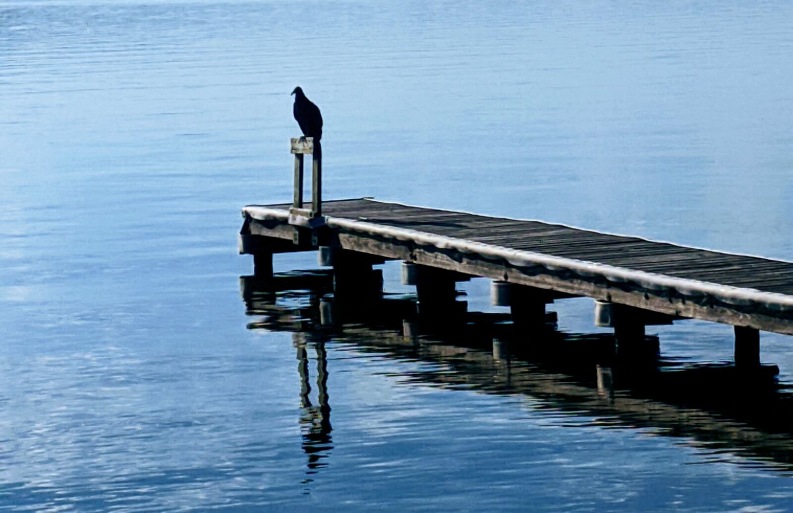 Google Pixel sample photo. Dock, water, lake photography