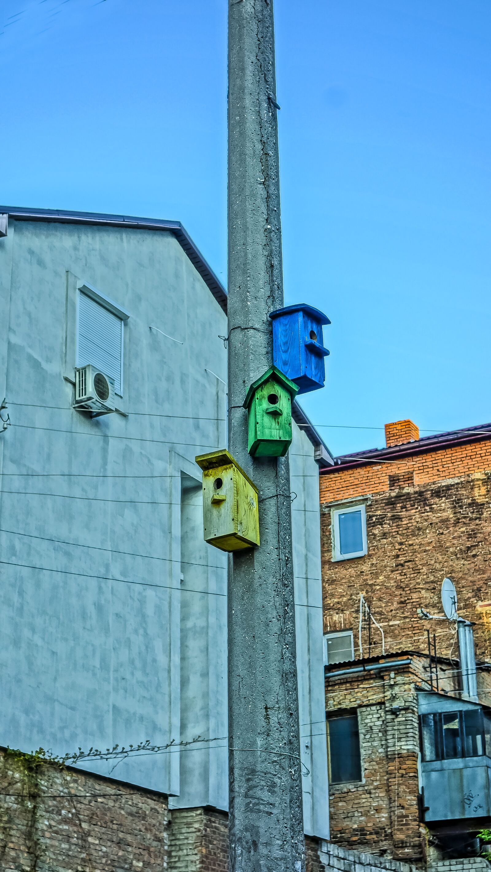 Sony Cyber-shot DSC-RX100 sample photo. Post, birdhouse, building photography