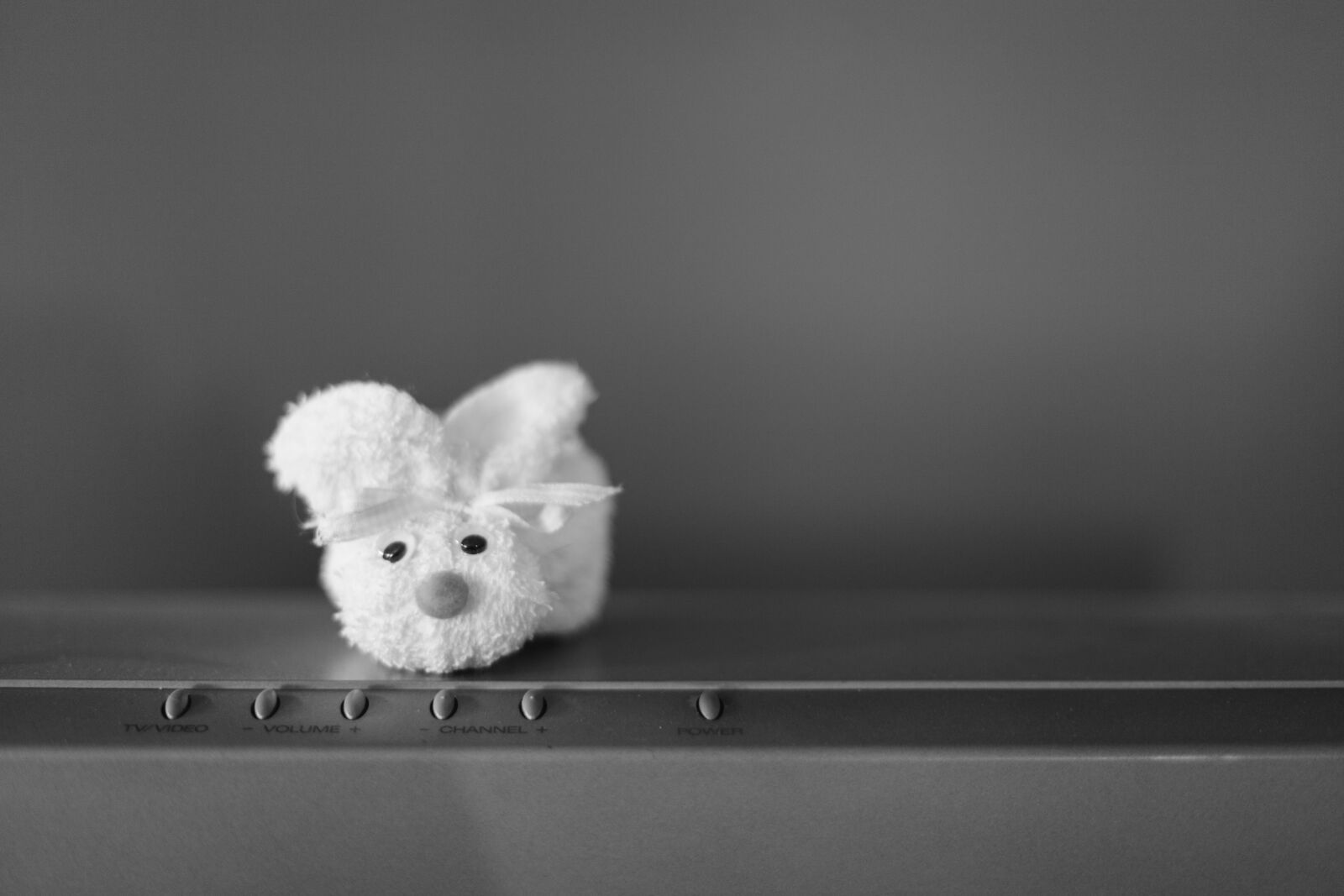 Canon EOS 5D Mark II sample photo. Bunny, rabbit, toy photography
