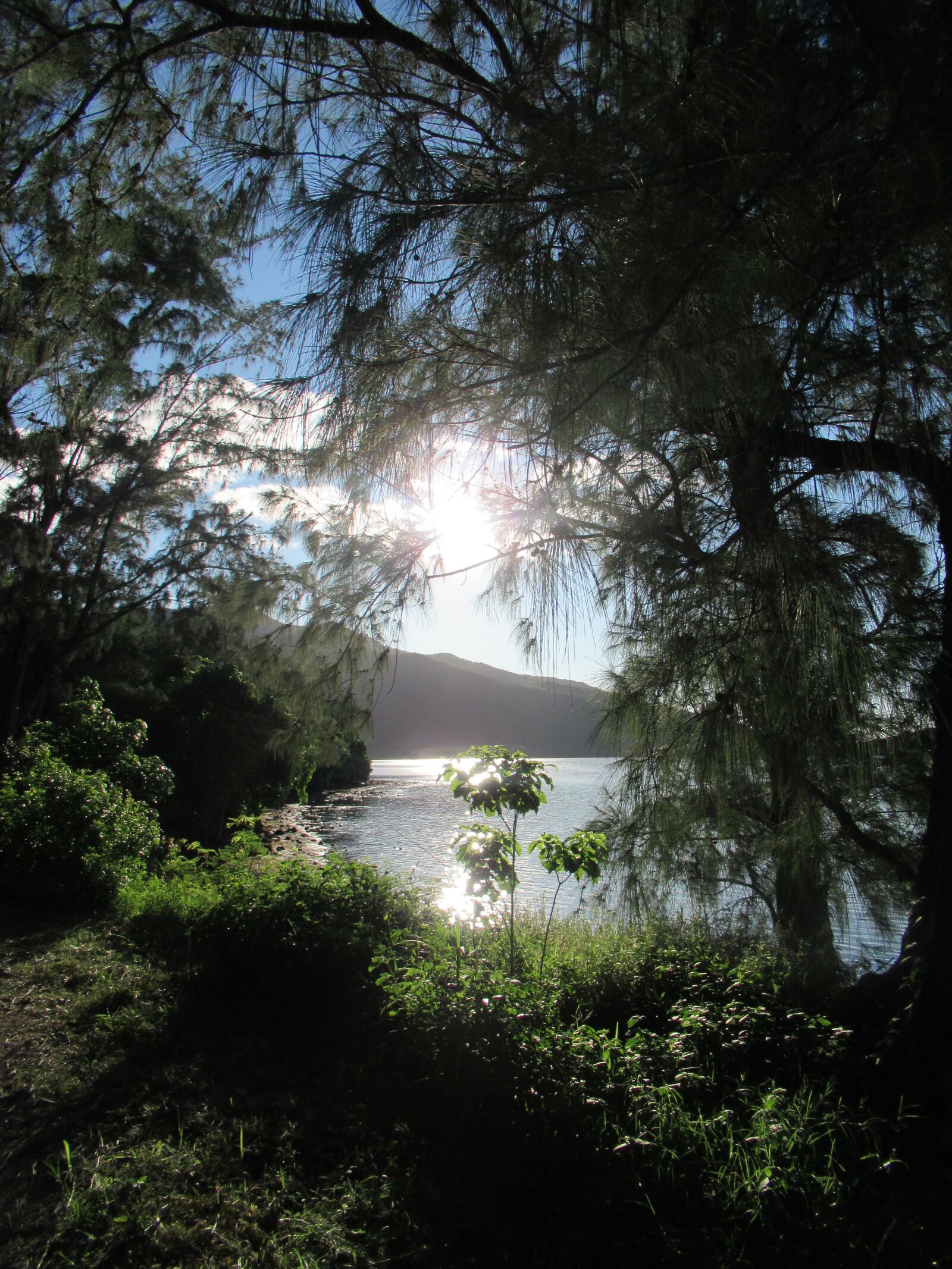 Canon PowerShot SX620 HS sample photo. Mauritius, sea, sun photography