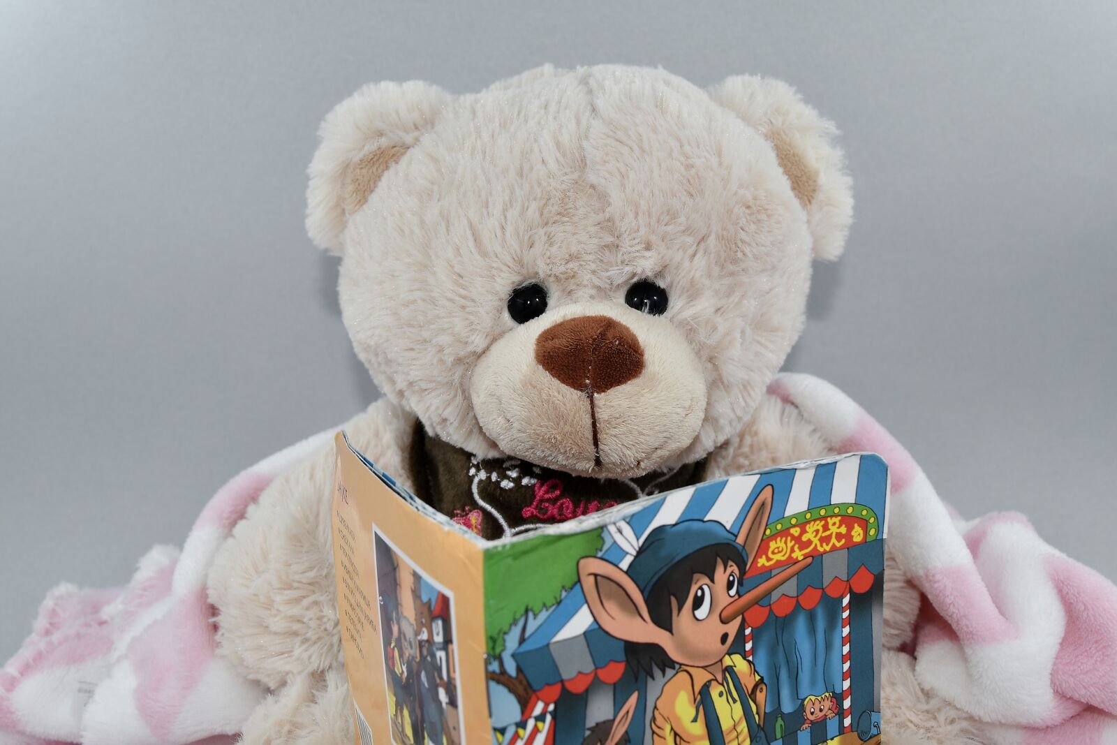 Nikon D5500 sample photo. Book, reading, teddy bear photography