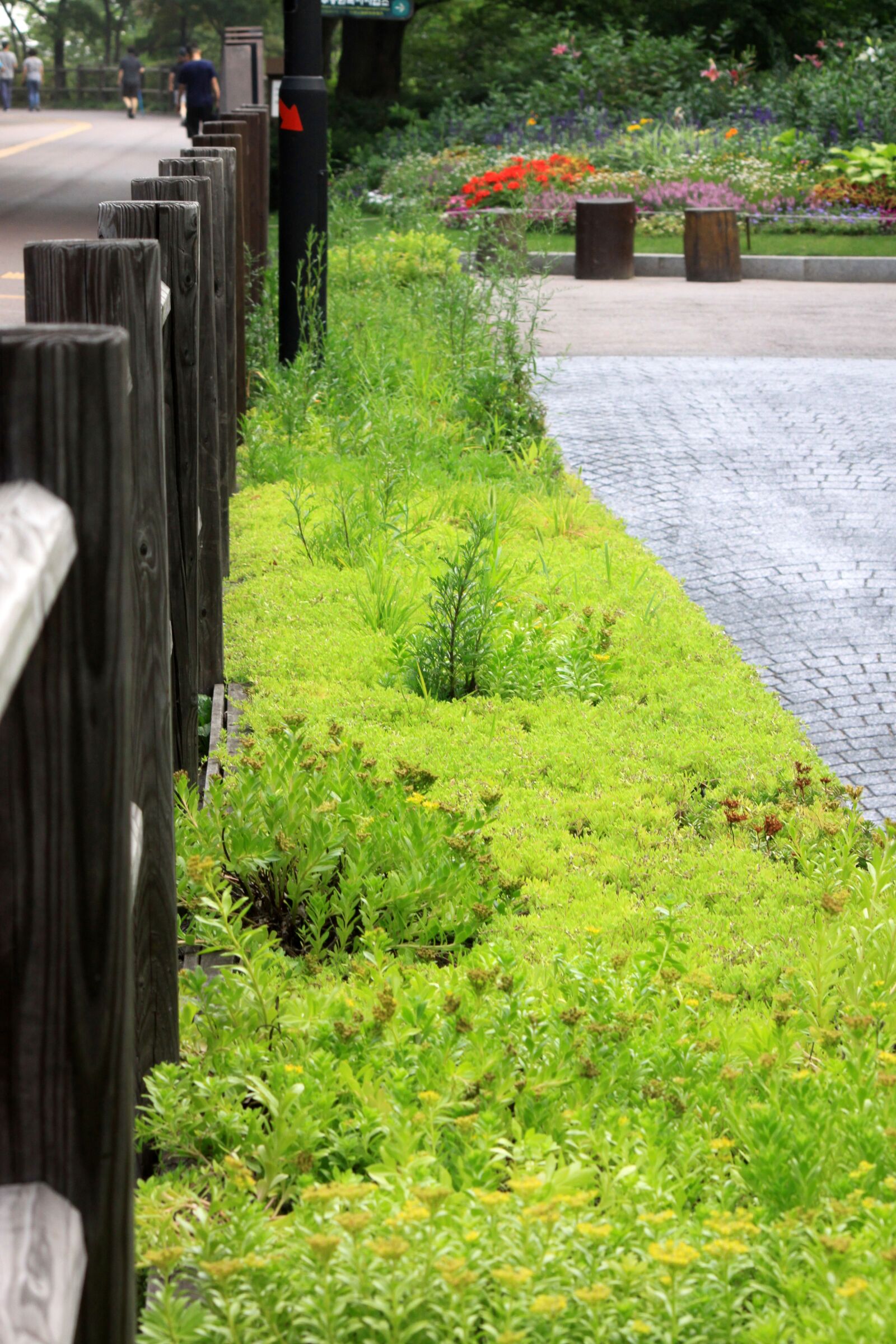 Canon EOS 50D sample photo. Park, handrail, nature photography