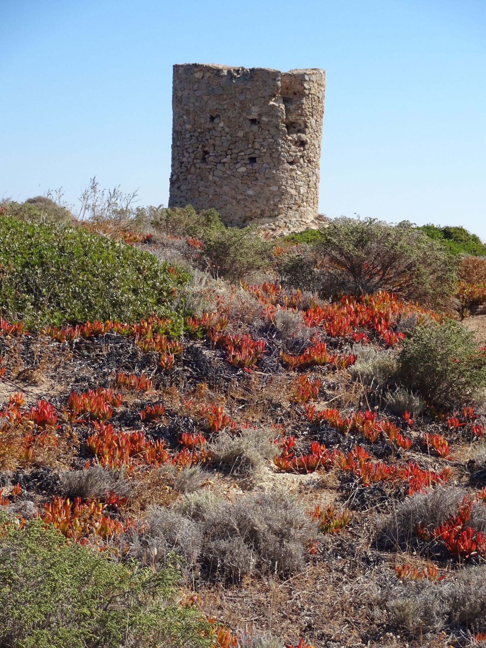 Sony Cyber-shot DSC-WX220 sample photo. Corsica, tower, meadow photography