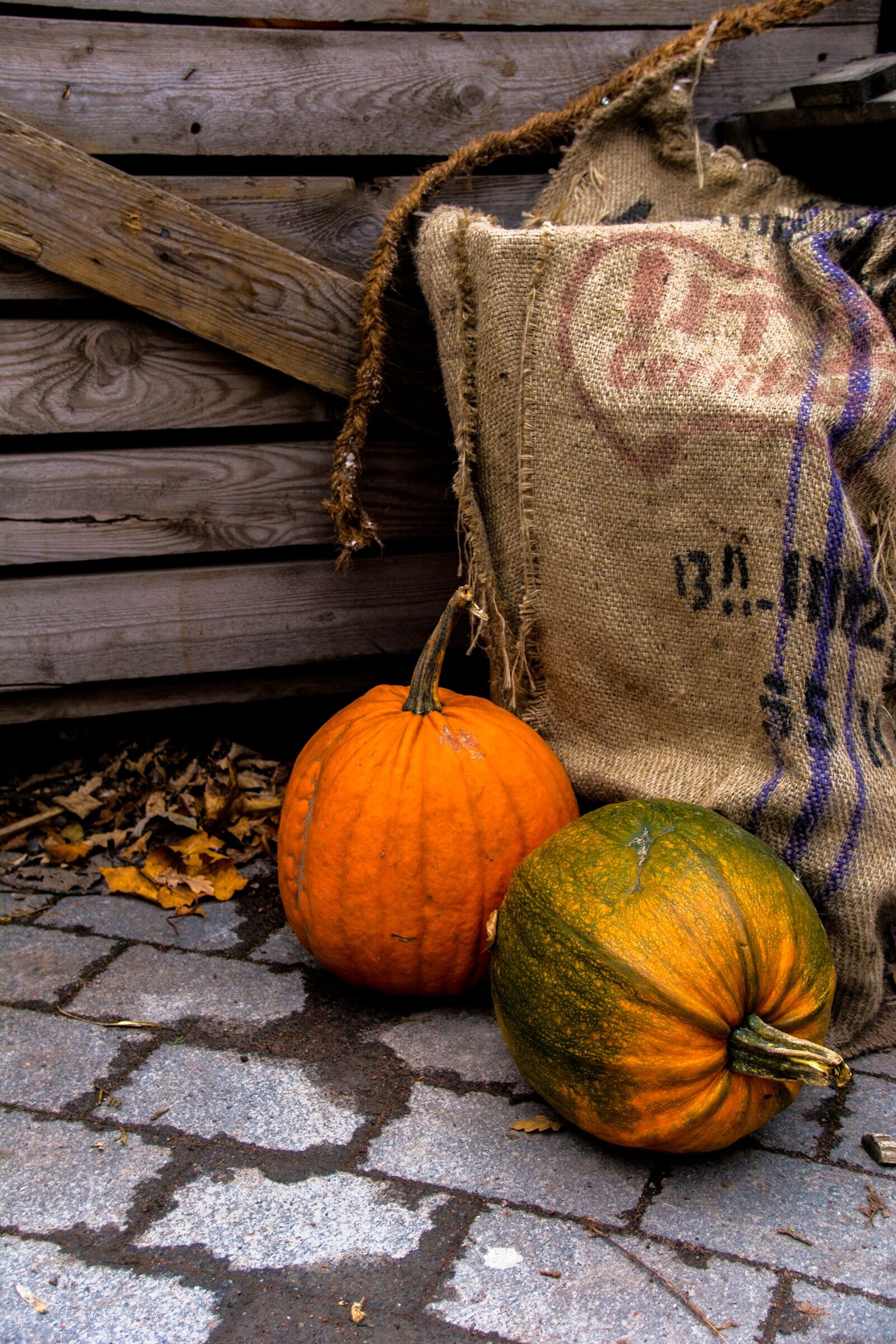 Nikon D7100 sample photo. Halloween, autumn, pumpkin photography