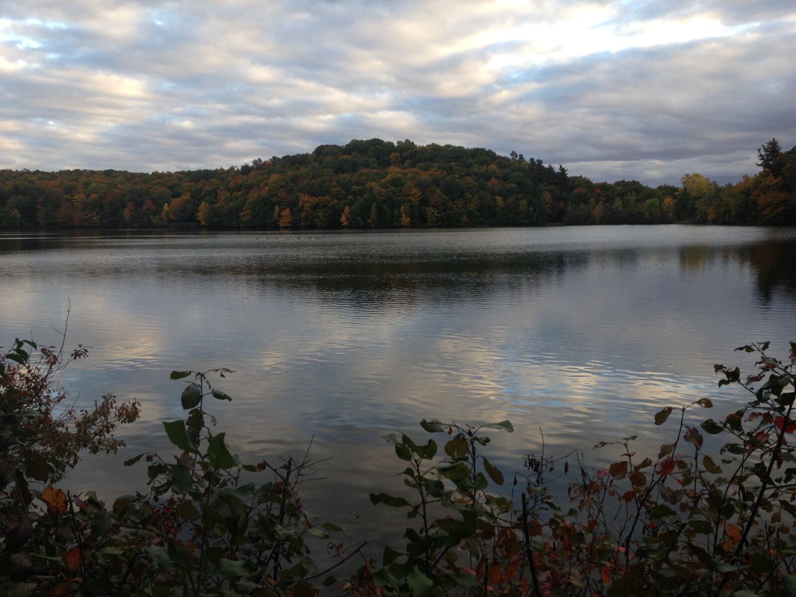 iPhone 5c back camera 4.12mm f/2.4 sample photo. Lake, nature, landscape photography