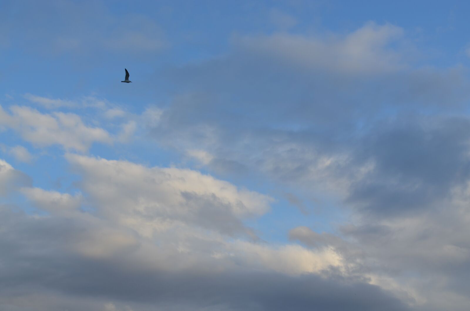 Nikon D5100 sample photo. Sky, nature, outdoor photography