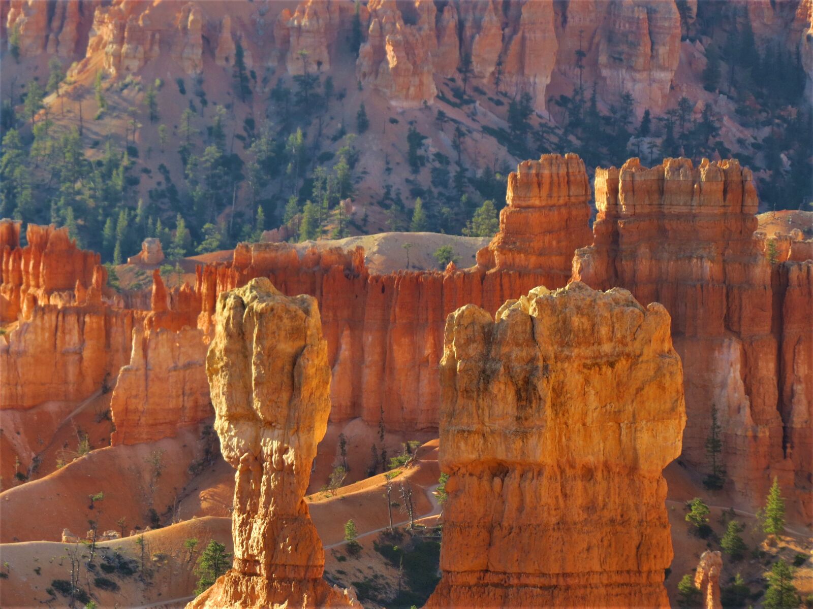 Canon PowerShot SX50 HS sample photo. Bryce canyon, red sandstone photography