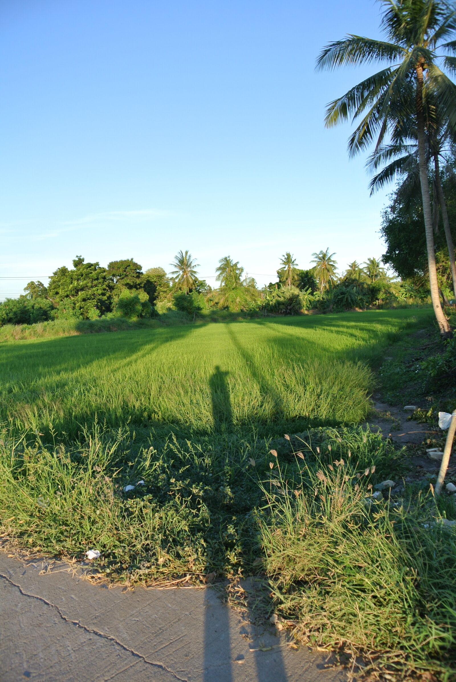 Nikon 1 J1 sample photo. Landscape photography