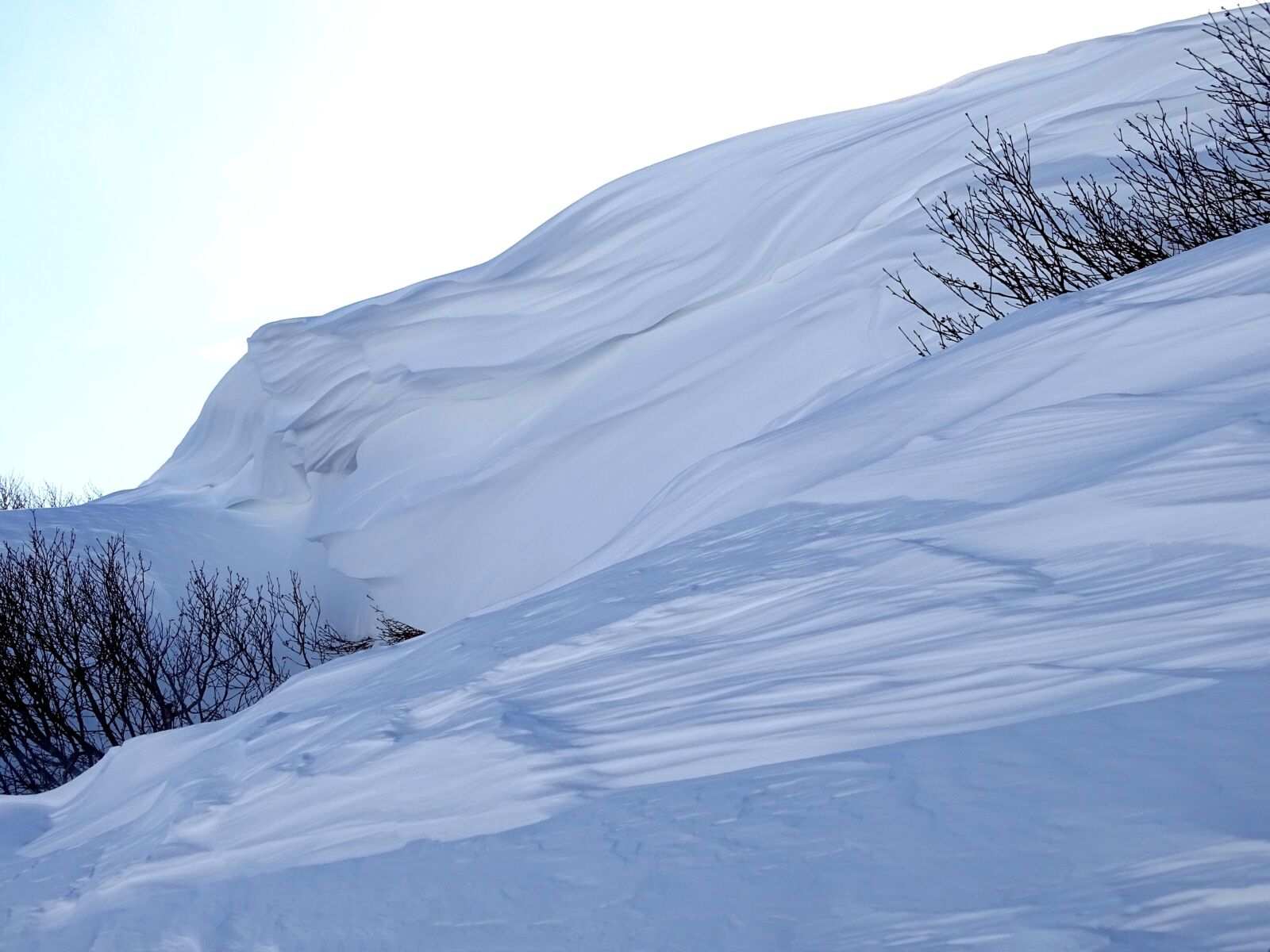 Sony DSC-HX400 sample photo. Winter, snow, snowdrift photography