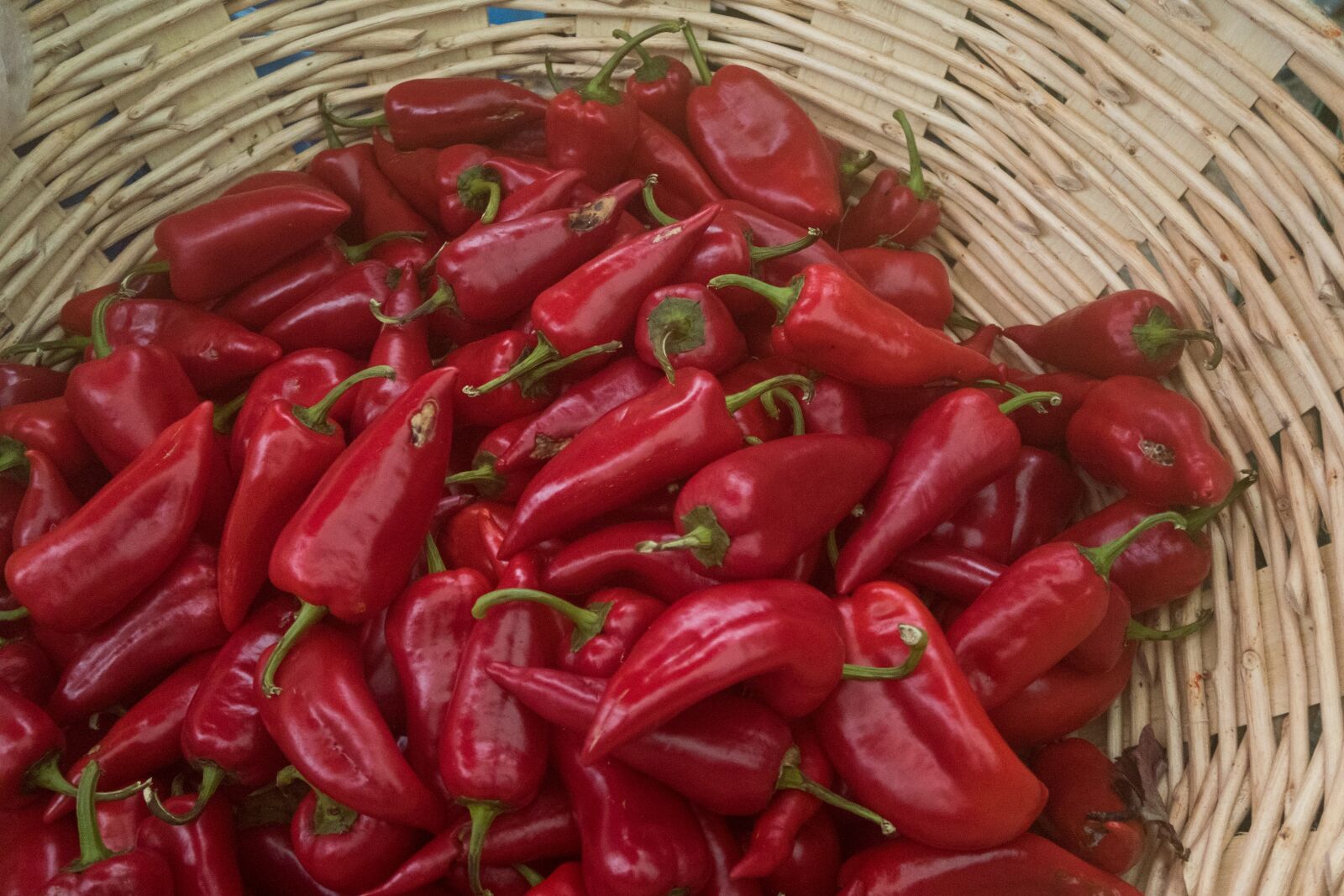 Canon PowerShot G7 X Mark II sample photo. Pepper, bell pepper, basket photography