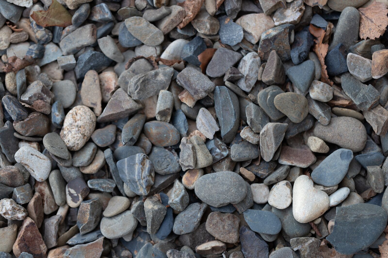 Canon EOS 6D Mark II sample photo. Stones, background, texture photography