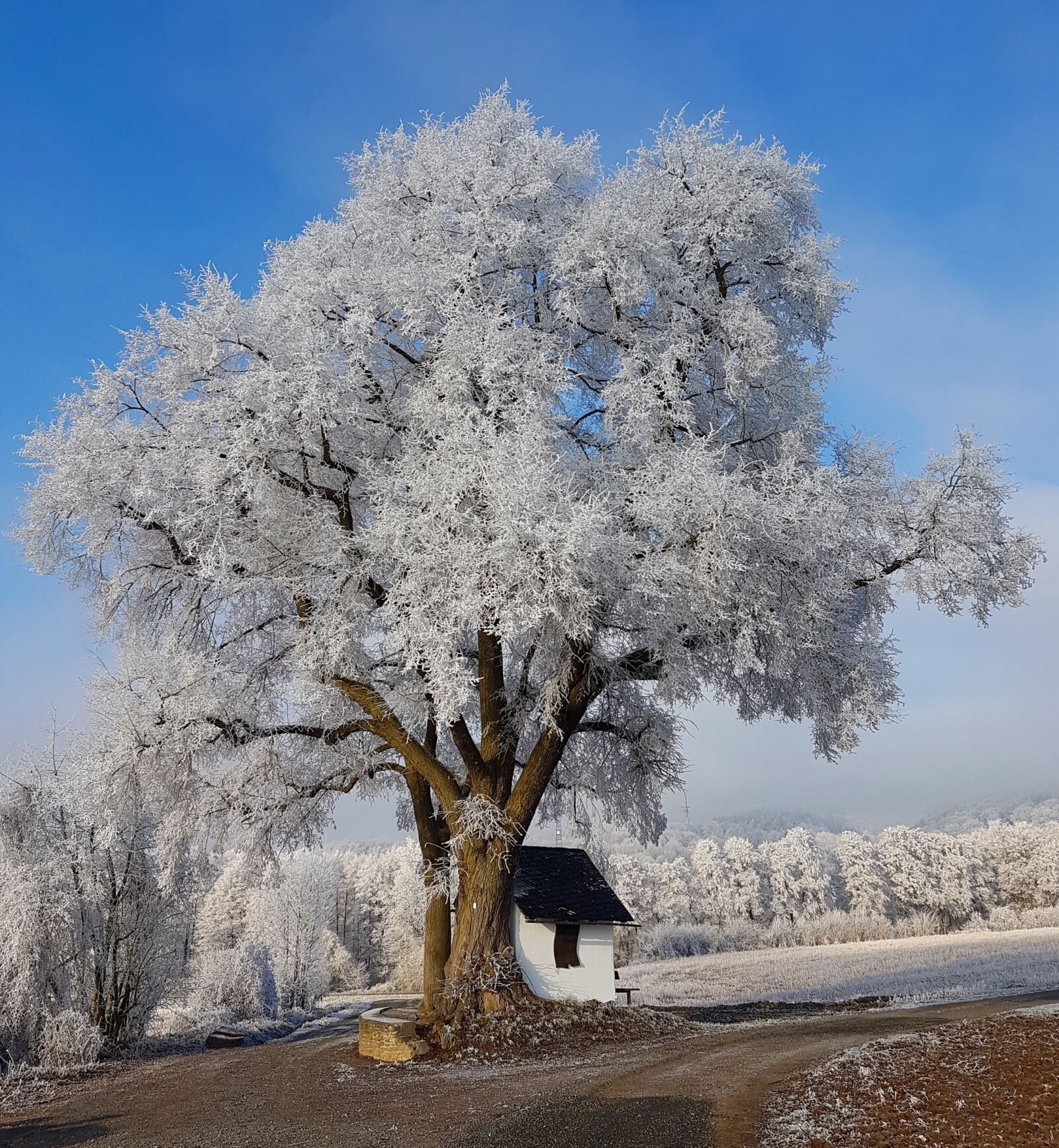Samsung Galaxy S7 sample photo. Winter, snow, wintry photography