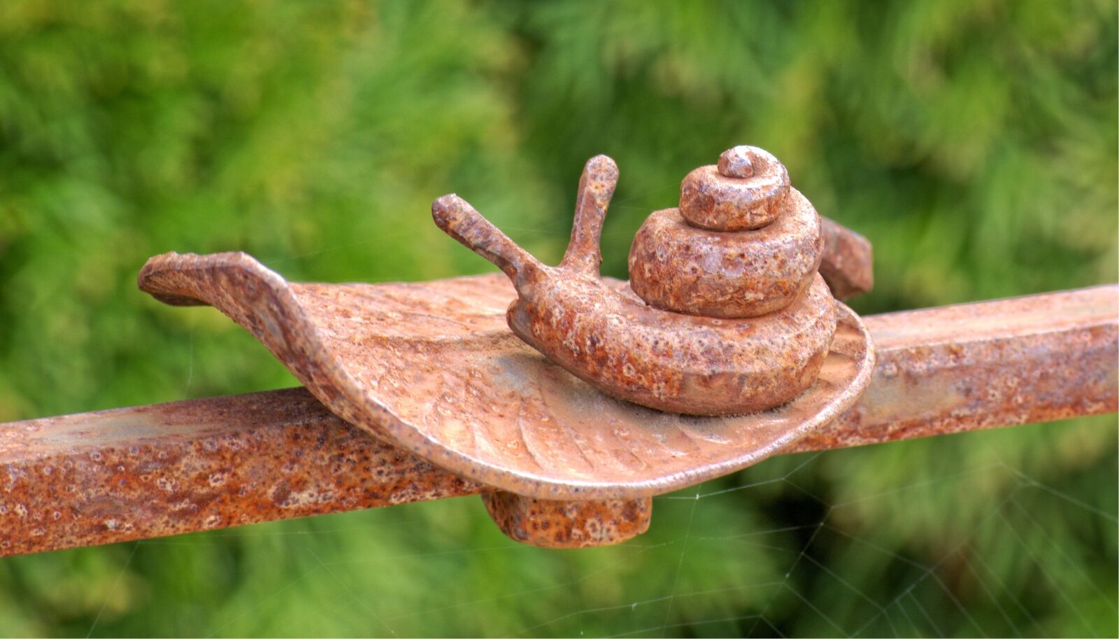 55.0-200.0mm f/4.0-f/5.6 sample photo. Snail, leaf, wrought iron photography