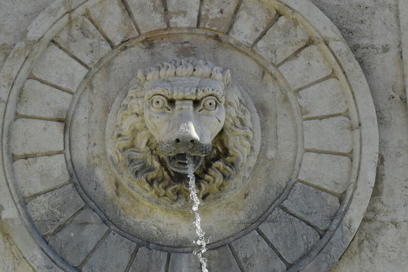 Nikon D5500 sample photo. Art, fountain, head, lion photography