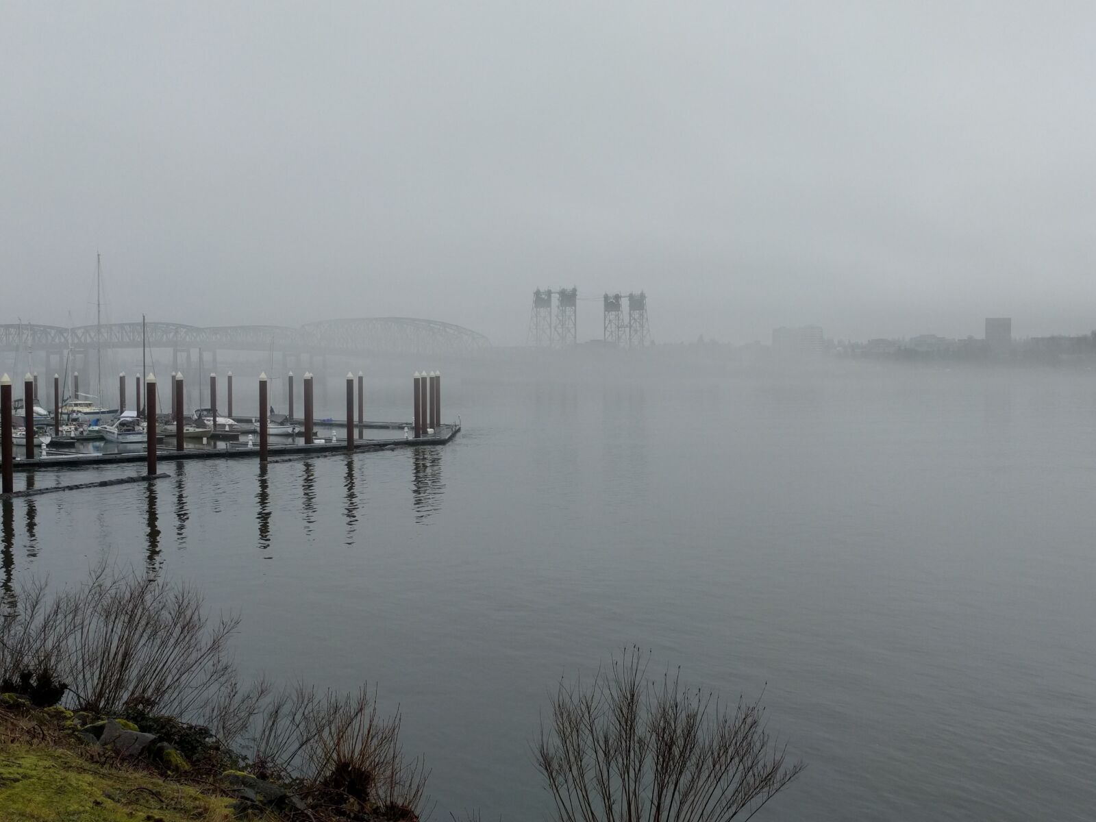 LG Nexus 5X sample photo. Hayden island mist, portland photography