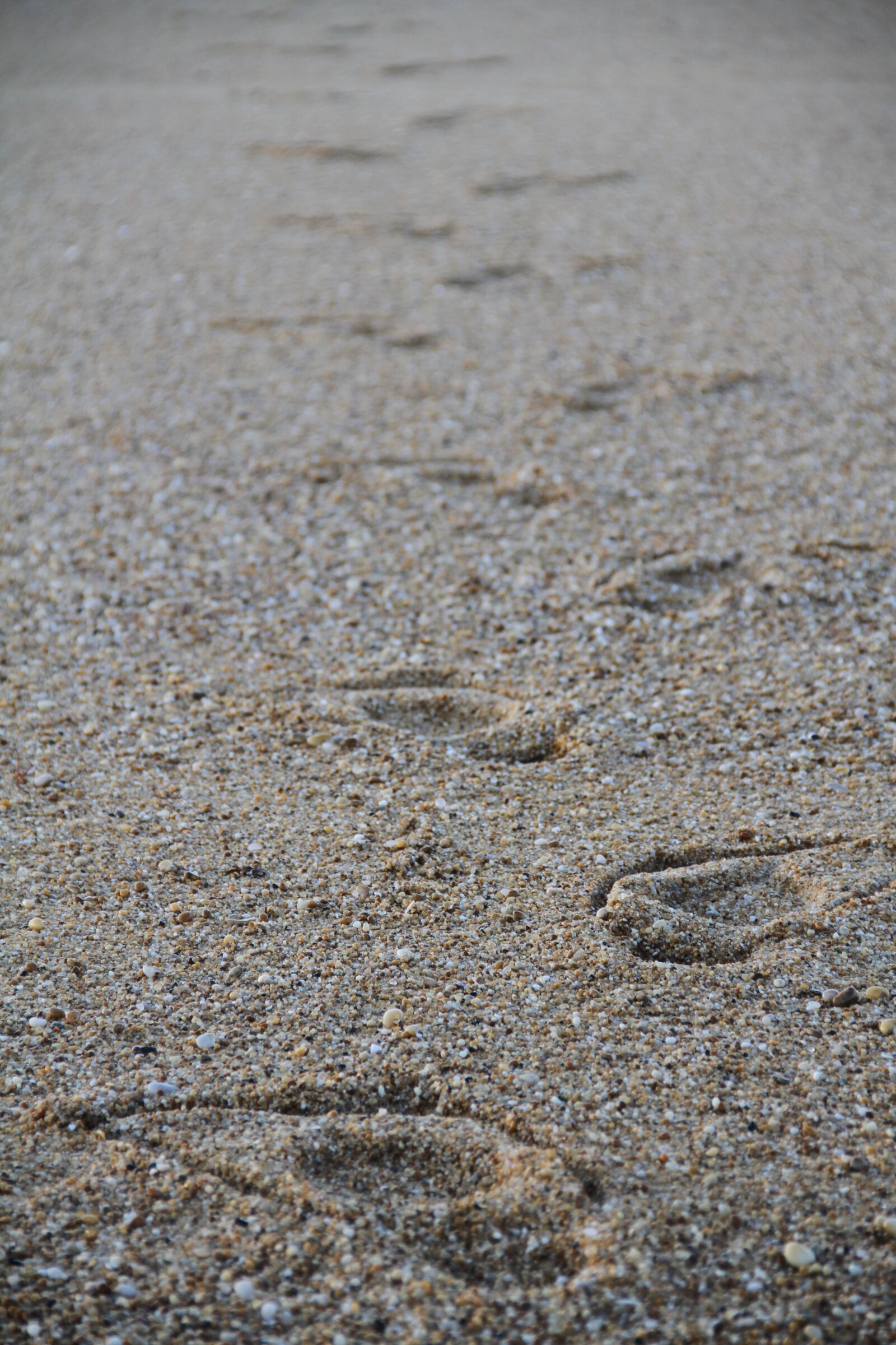 Canon EOS 7D sample photo