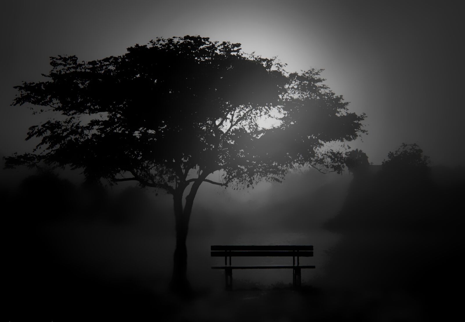 Nikon D7000 sample photo. Tree, silhouette, dawn photography
