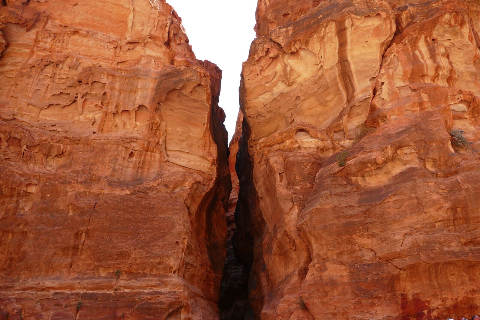 Panasonic Lumix DMC-FZ1000 sample photo. Jordan, petra, desert photography