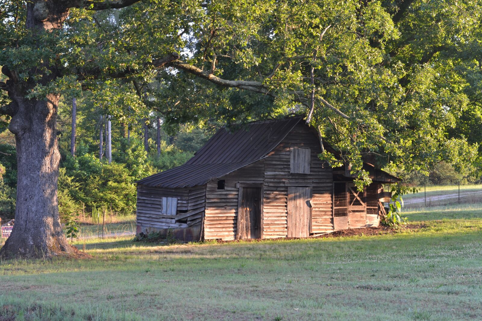 Nikon D3100 sample photo. Old barn, trees, nature photography