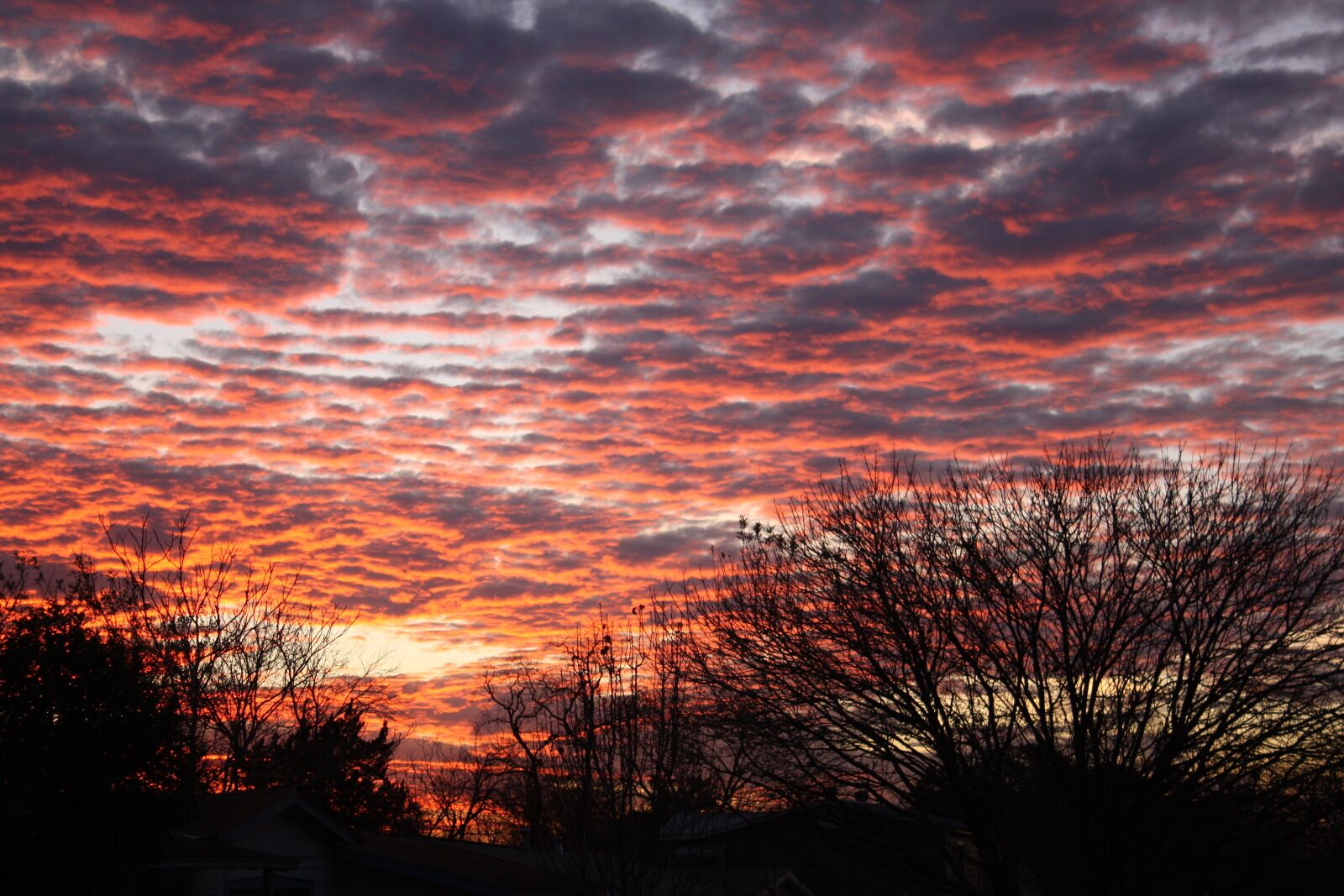 Canon EOS 450D (EOS Rebel XSi / EOS Kiss X2) sample photo. Sunset, sun, dusk photography