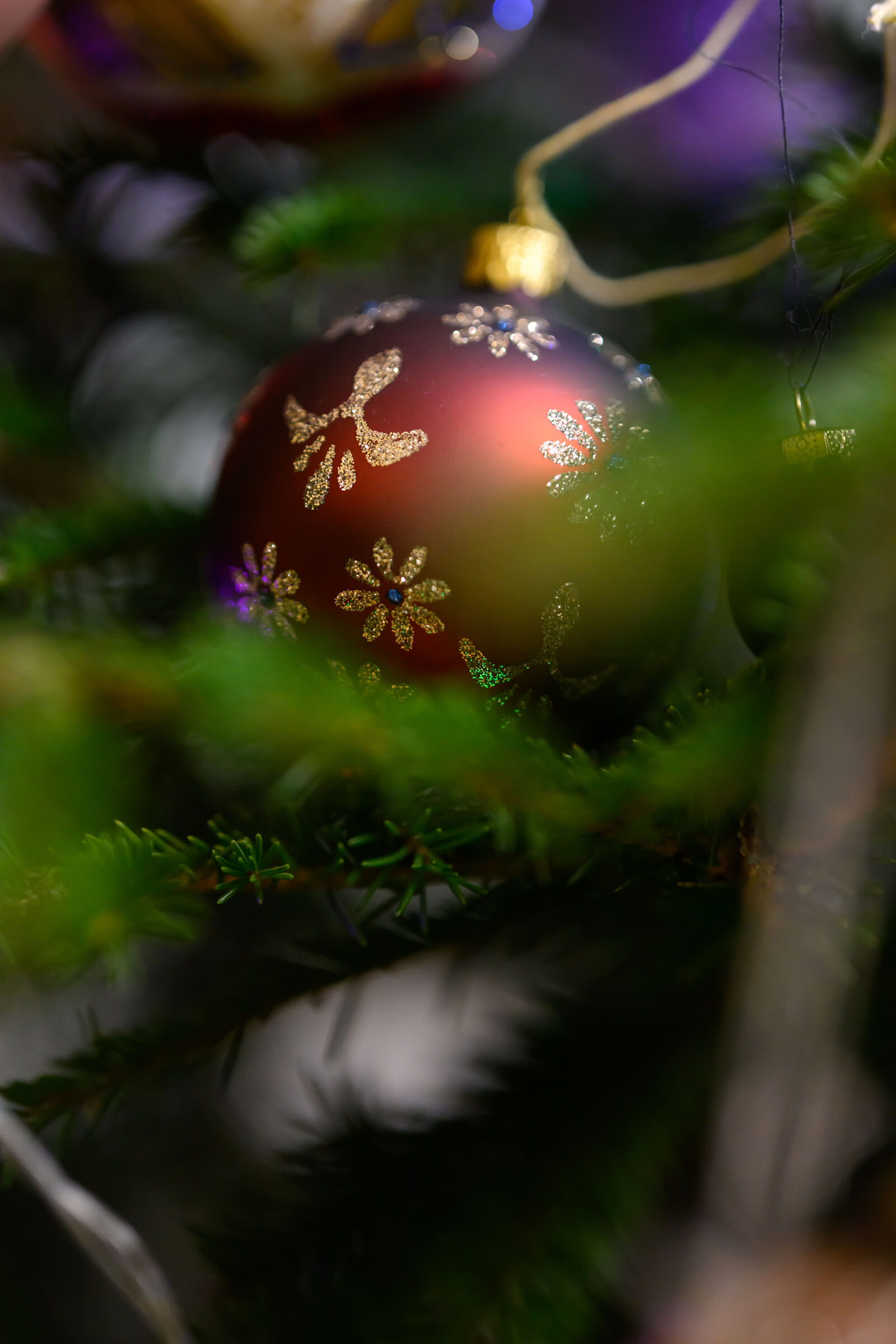 Nikon Z9 sample photo. Christmas decoration photography