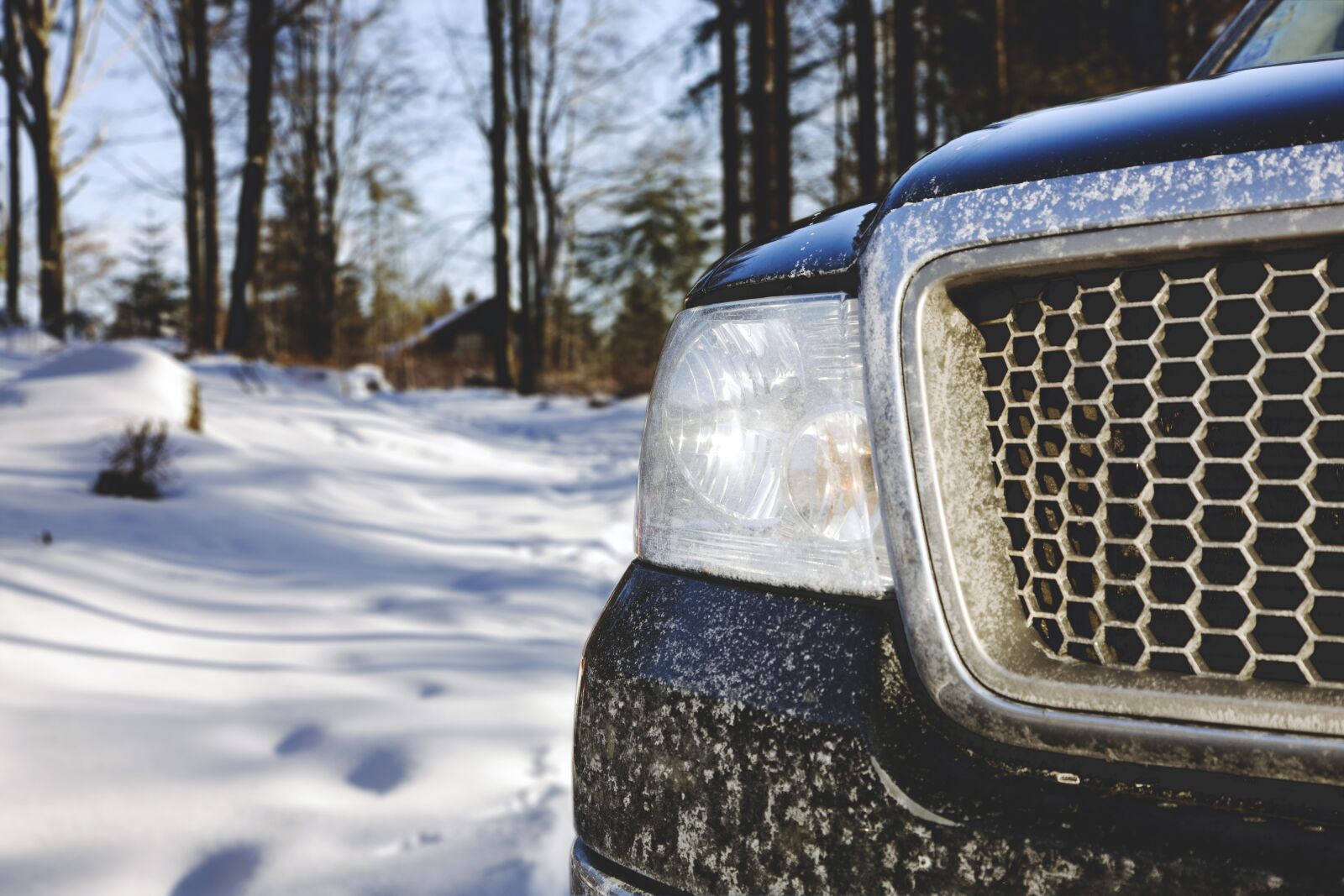 Canon EOS-1Ds Mark III sample photo. Forest, auto, offroad photography